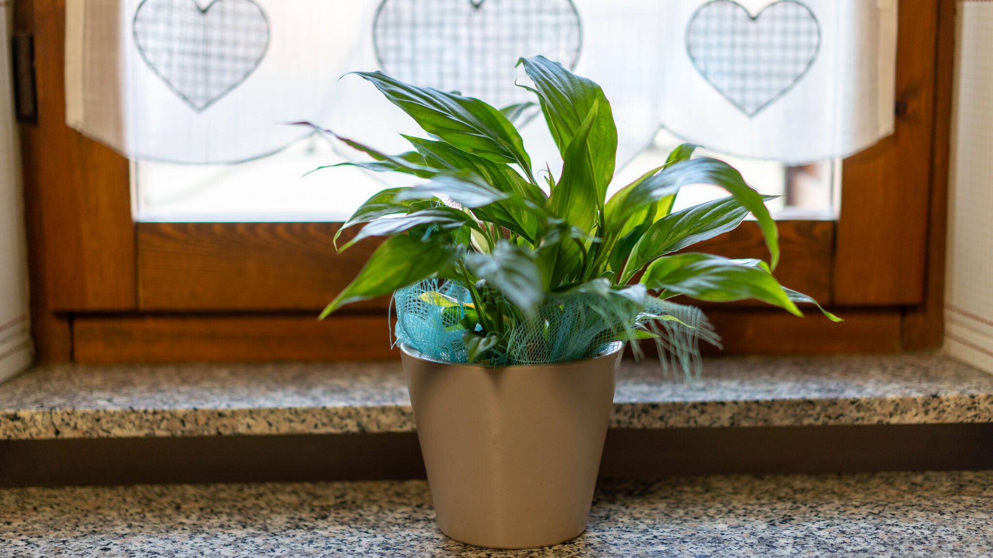 Italianway Cabras Casa Terra Mia