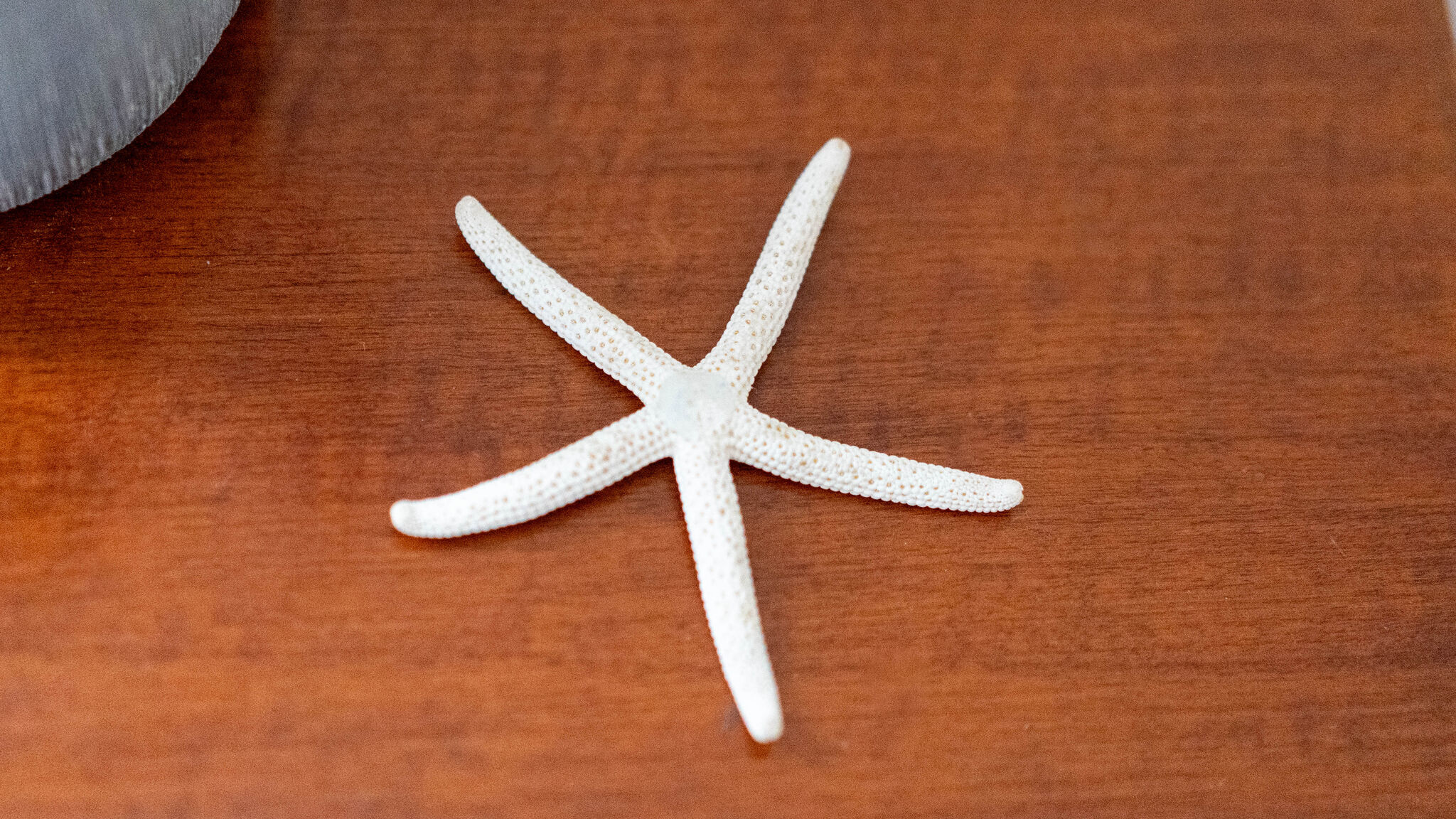 Italianway Cabras Casa Terra Mia