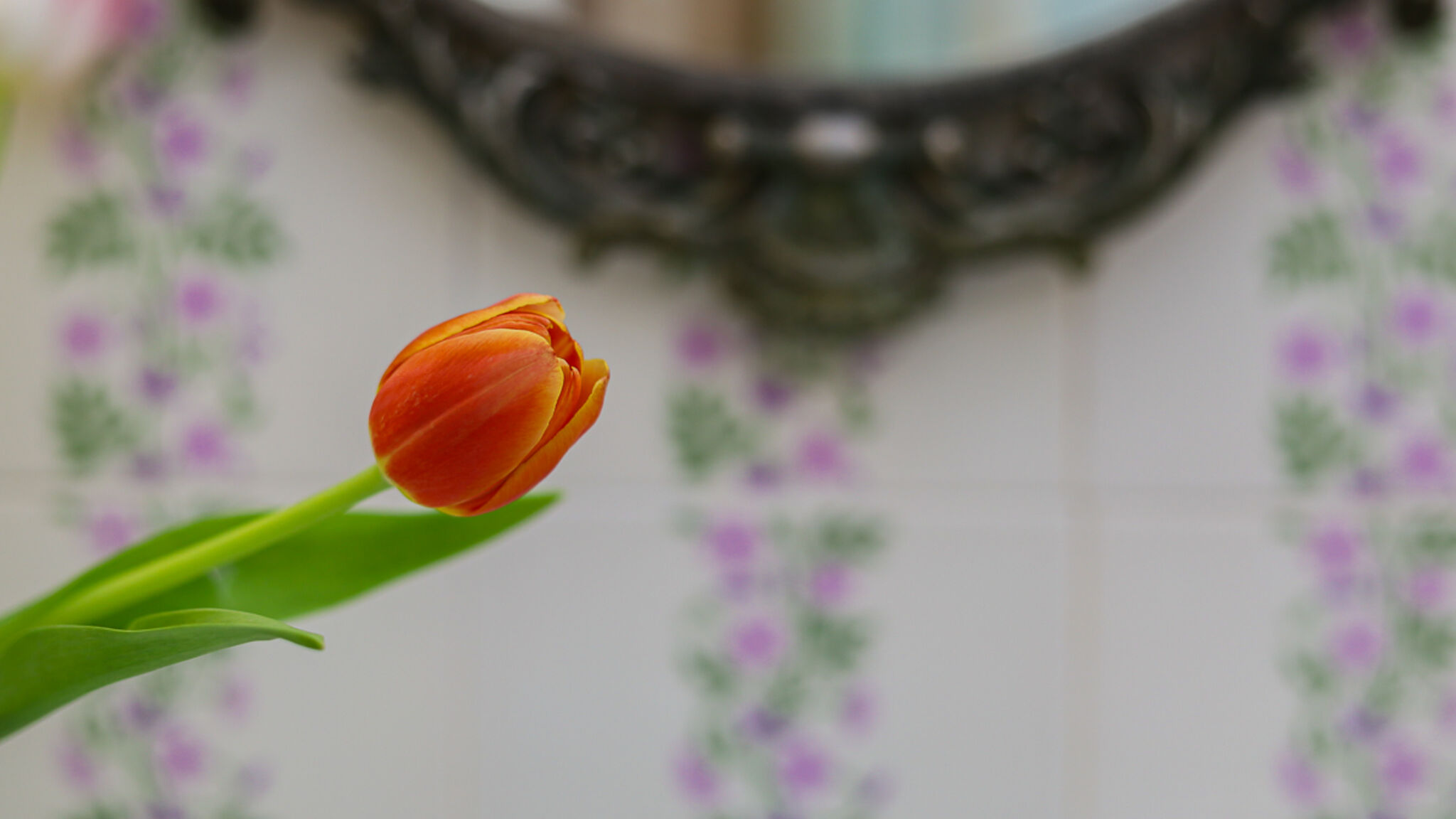 Italianway Sannicola Casa di Bì by Casa di Marco