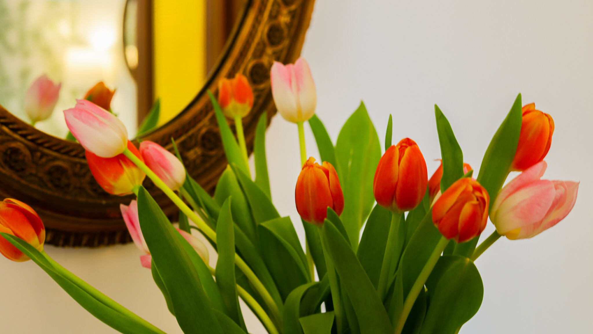 Italianway Sannicola Casa di Bì by Casa di Marco