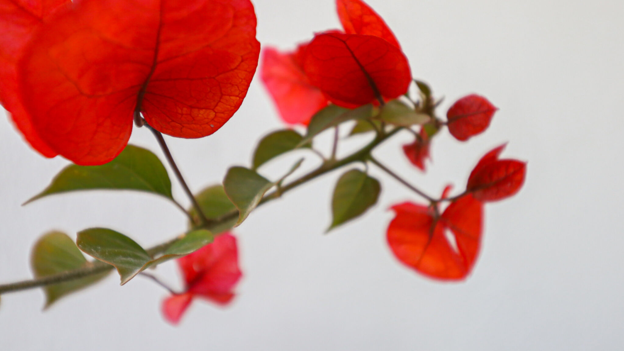 Italianway Sannicola Il Pumo by Casa di Marco