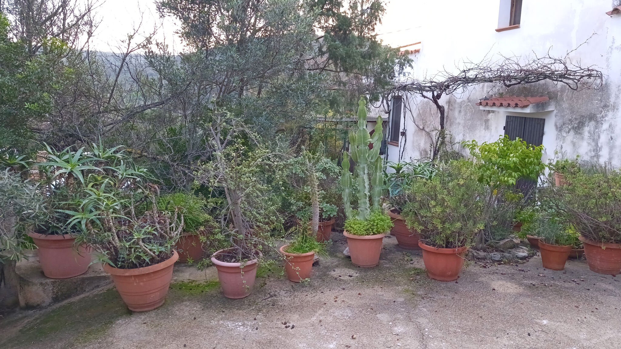 Italianway Posada Casa Alma