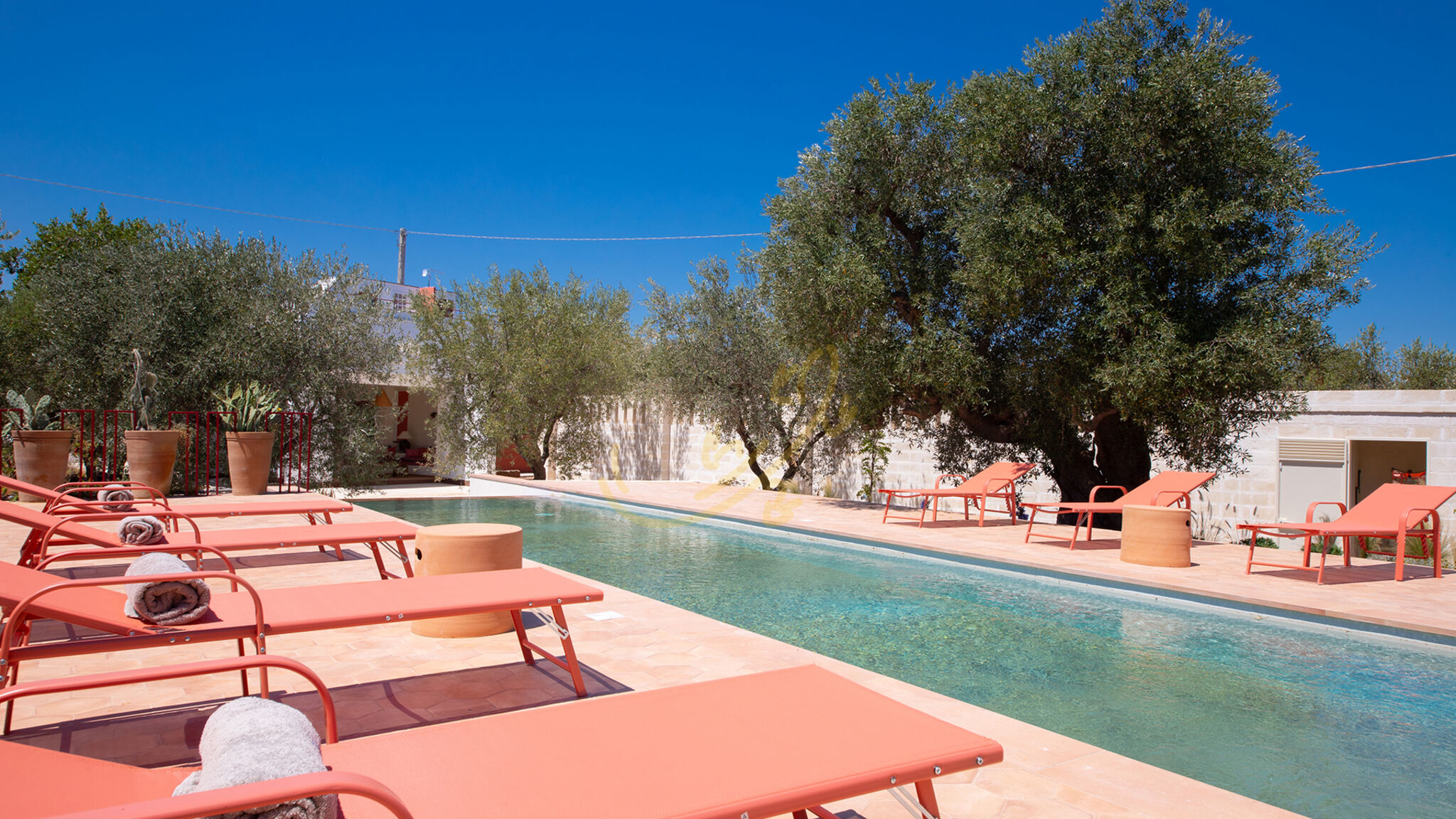 Trulli e Dimore Property Management Fasano TD Lamia Porta Rossa, Countryside w/Olive Trees