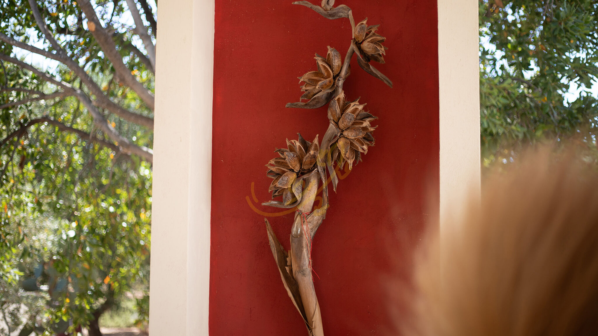 Trulli e Dimore Property Management Fasano TD Lamia Porta Rossa, Countryside w/Olive Trees