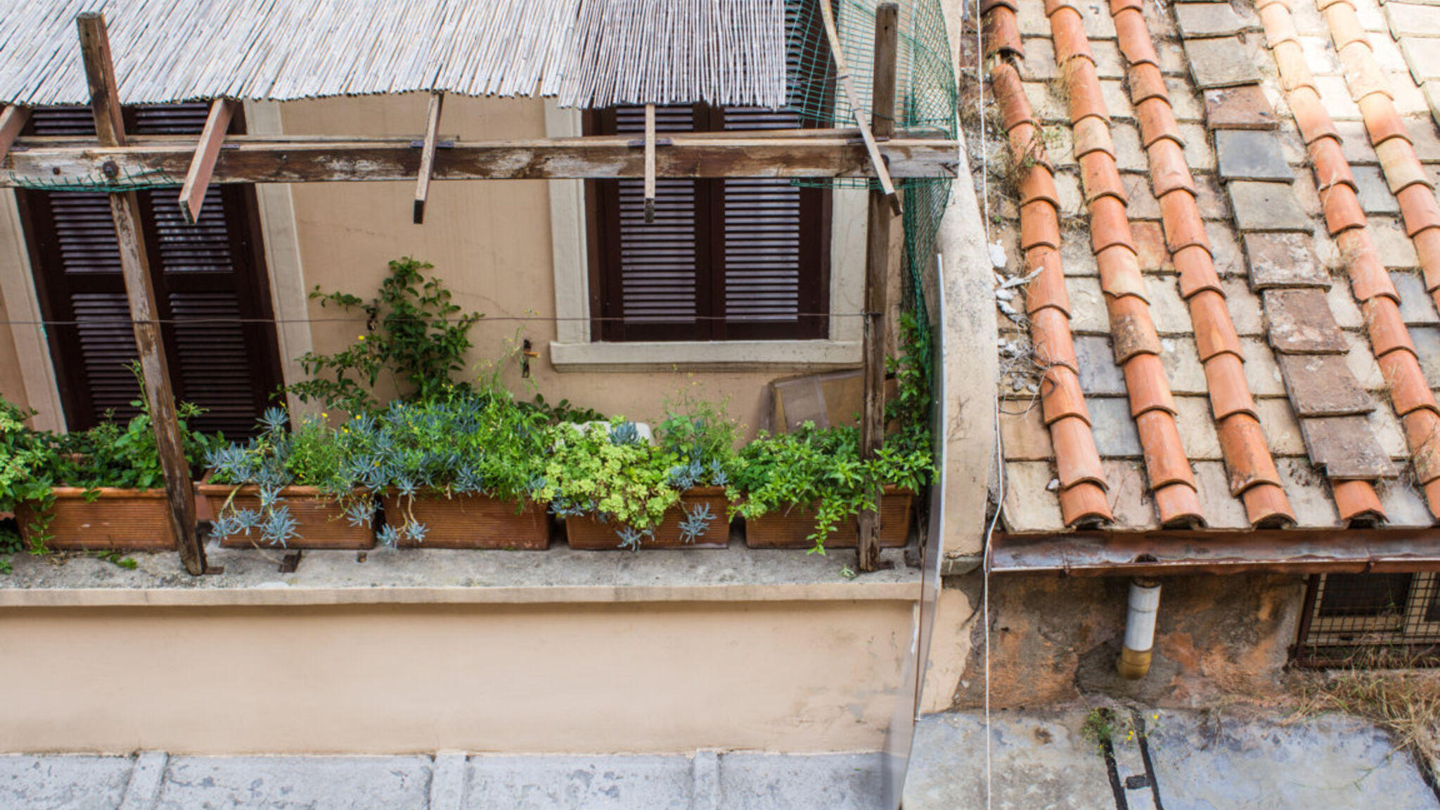 Italianway Roma Santonofrio Bronze