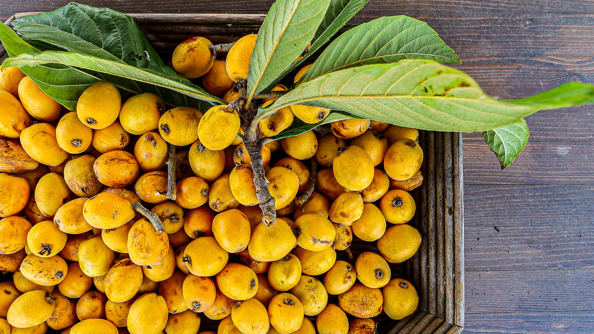 Italianway Galatone Rifugio dei Corsari by Casa di Marco