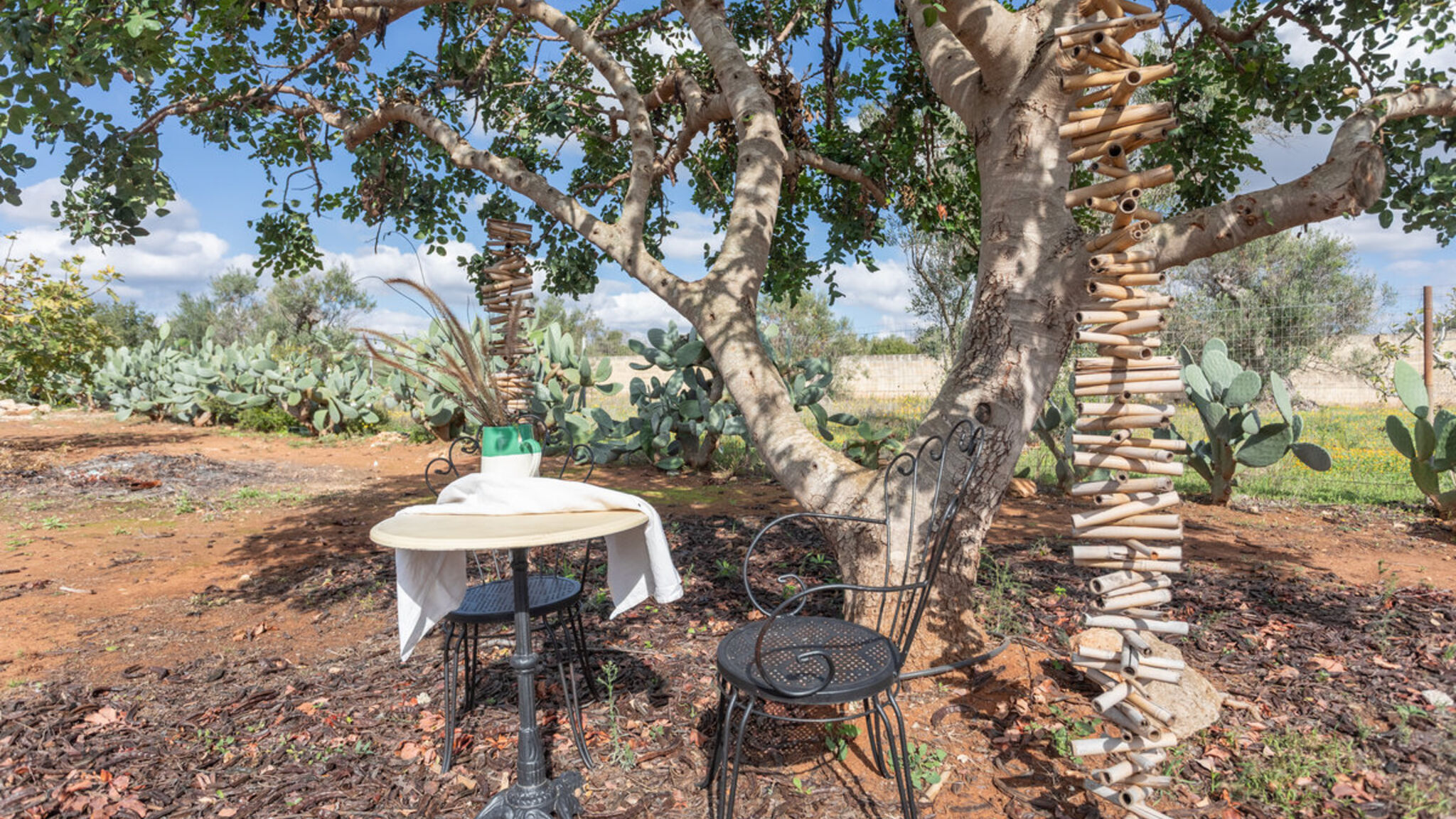 Italianway Racale Dimora Maria - Salento Reservation