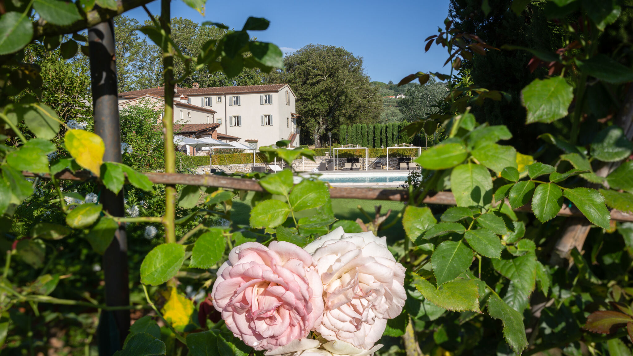 Italianway Pieve a Nievole Villa Pitti Amerighi 26