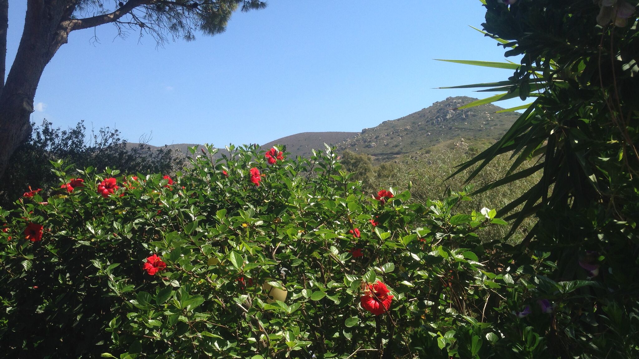 Italianway Maracalagonis Villa Claudia Torre delle Stelle