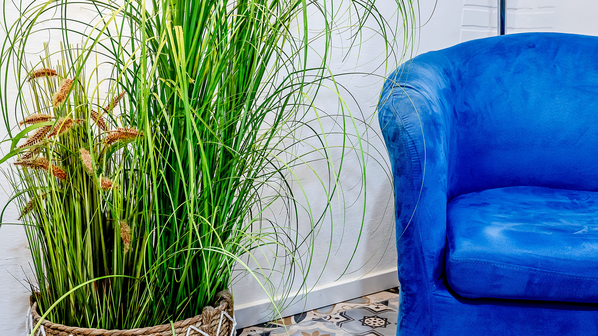 Italianway Parma Le Finestre Sul Borgo 1