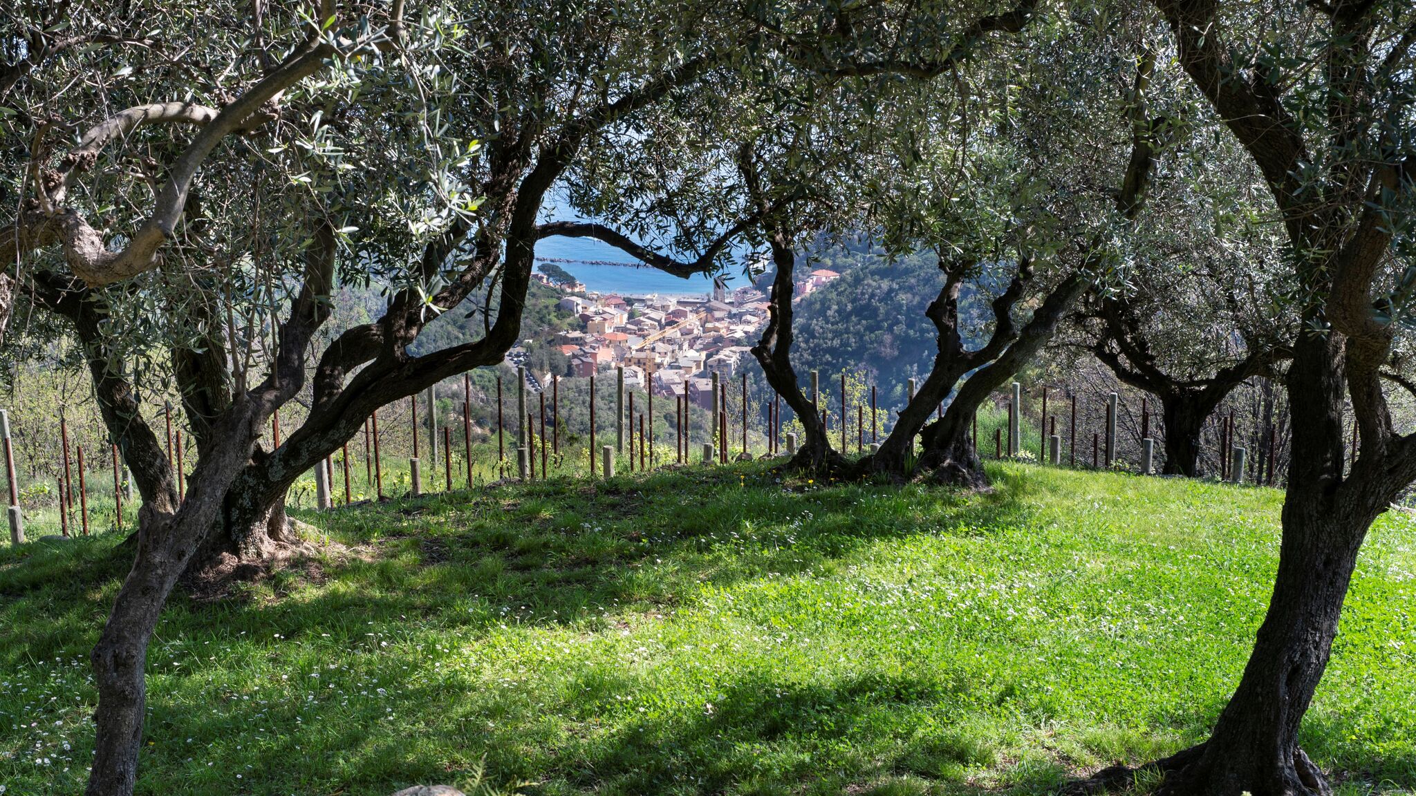 Italianway Monterosso al Mare Eremo della Maddalena, the oasis of the 5Terre
