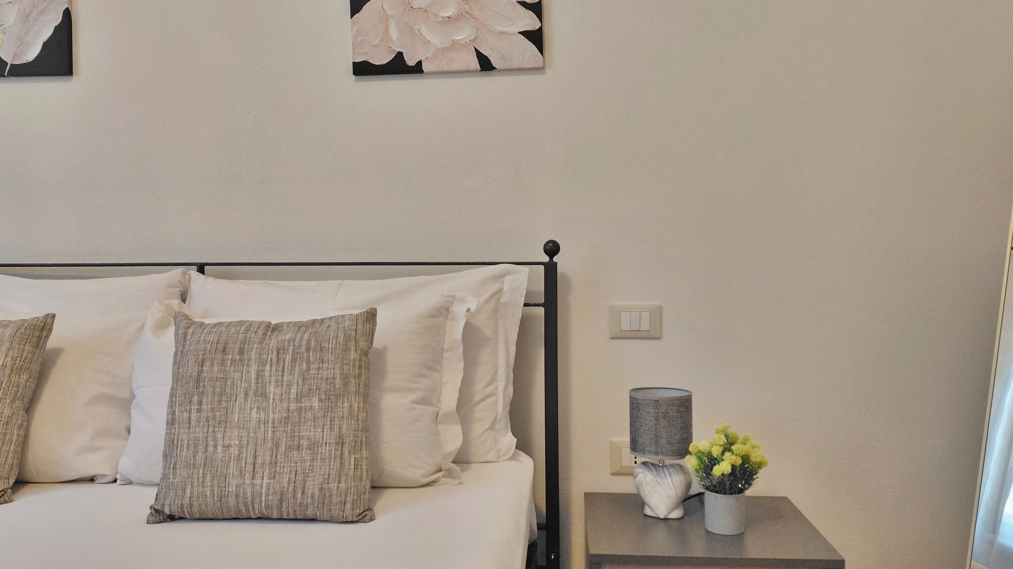 Italianway Olmedo Agave