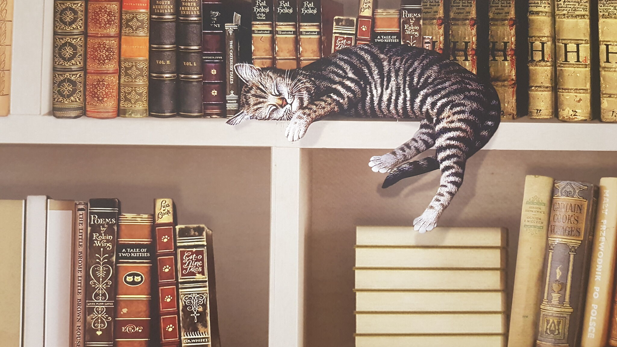 Italianway Savona Appartamento Mare Savona by Affitti brevi Liguria