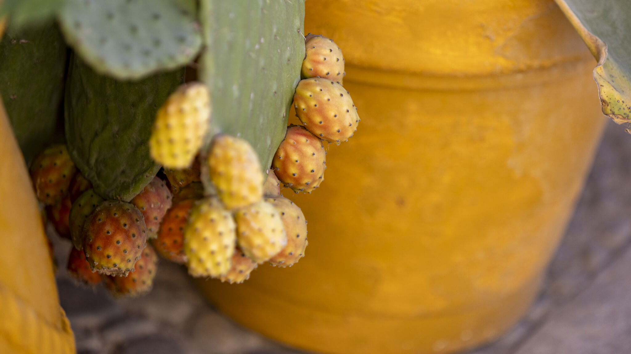 Italianway Ispica Villa Emanto SicilyMyHome