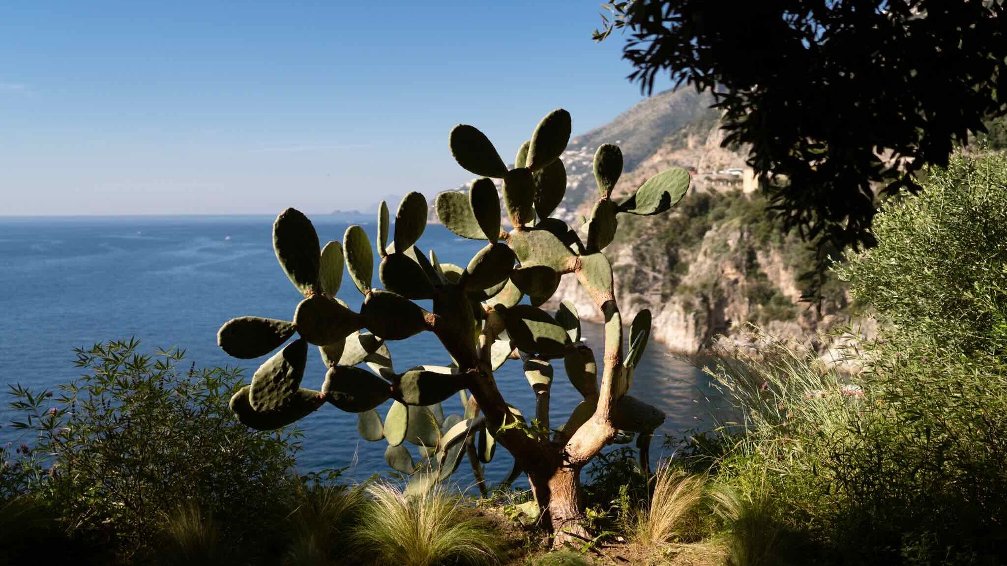 Italianway Conca dei Marini Villa Smeraldo by Elite Villas