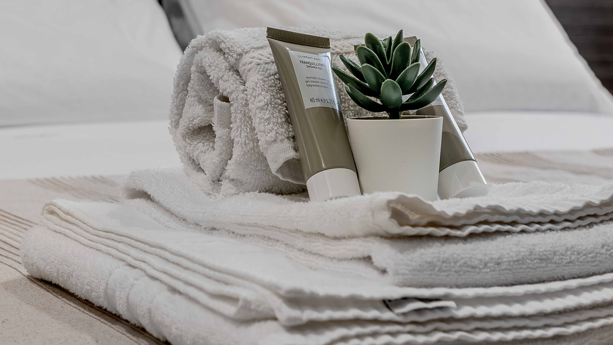 Italianway Parma Salina Luxury Suites