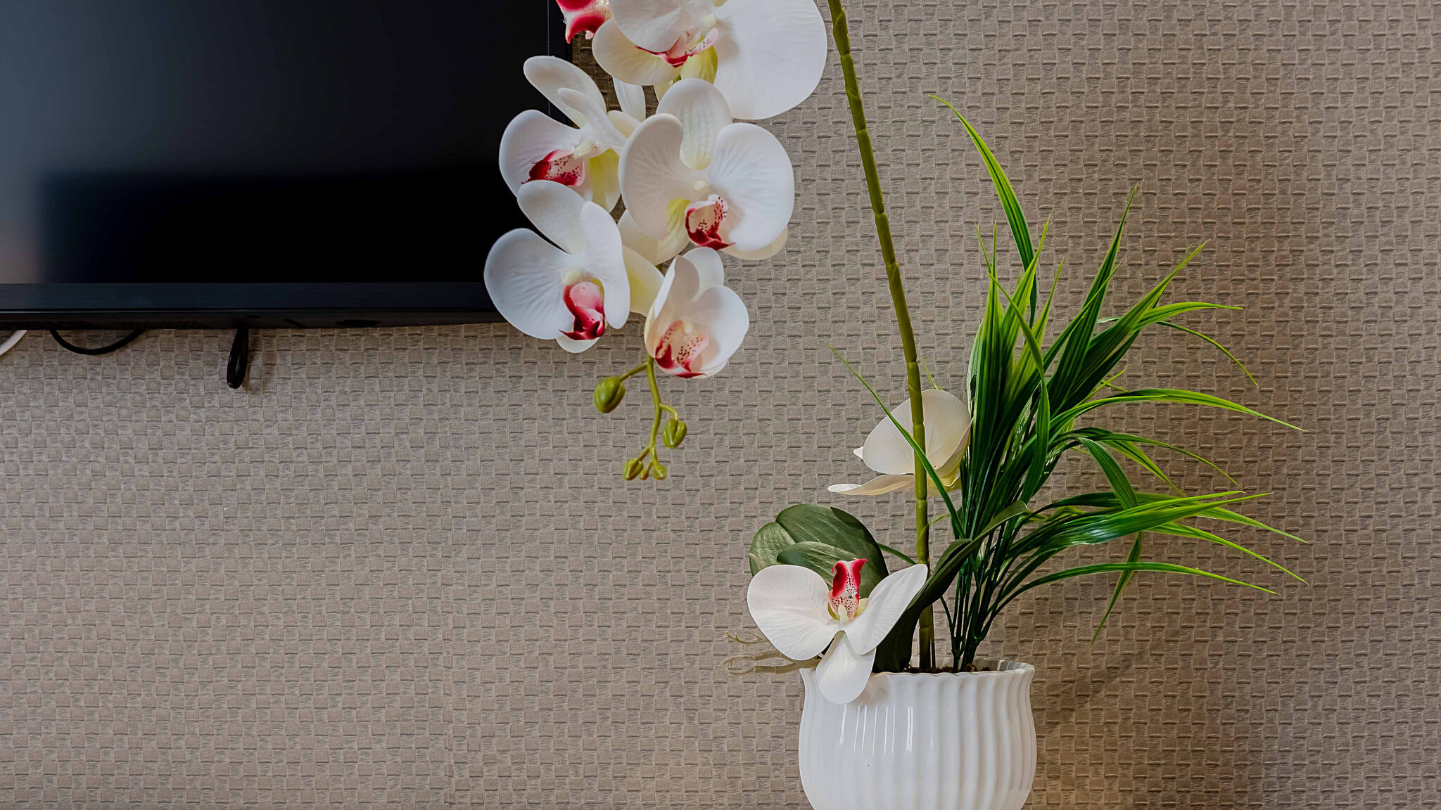 Italianway Parma Salina Luxury Suites