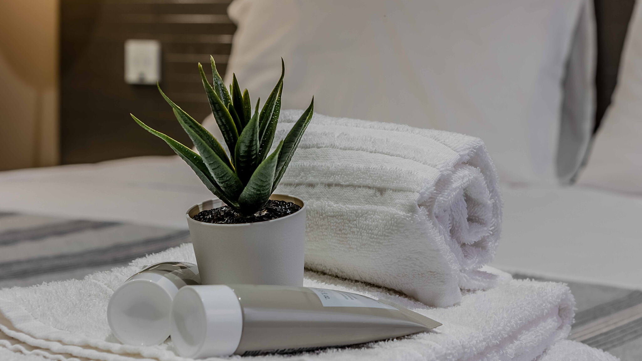 Italianway Parma Salina Luxury Suites Carbone