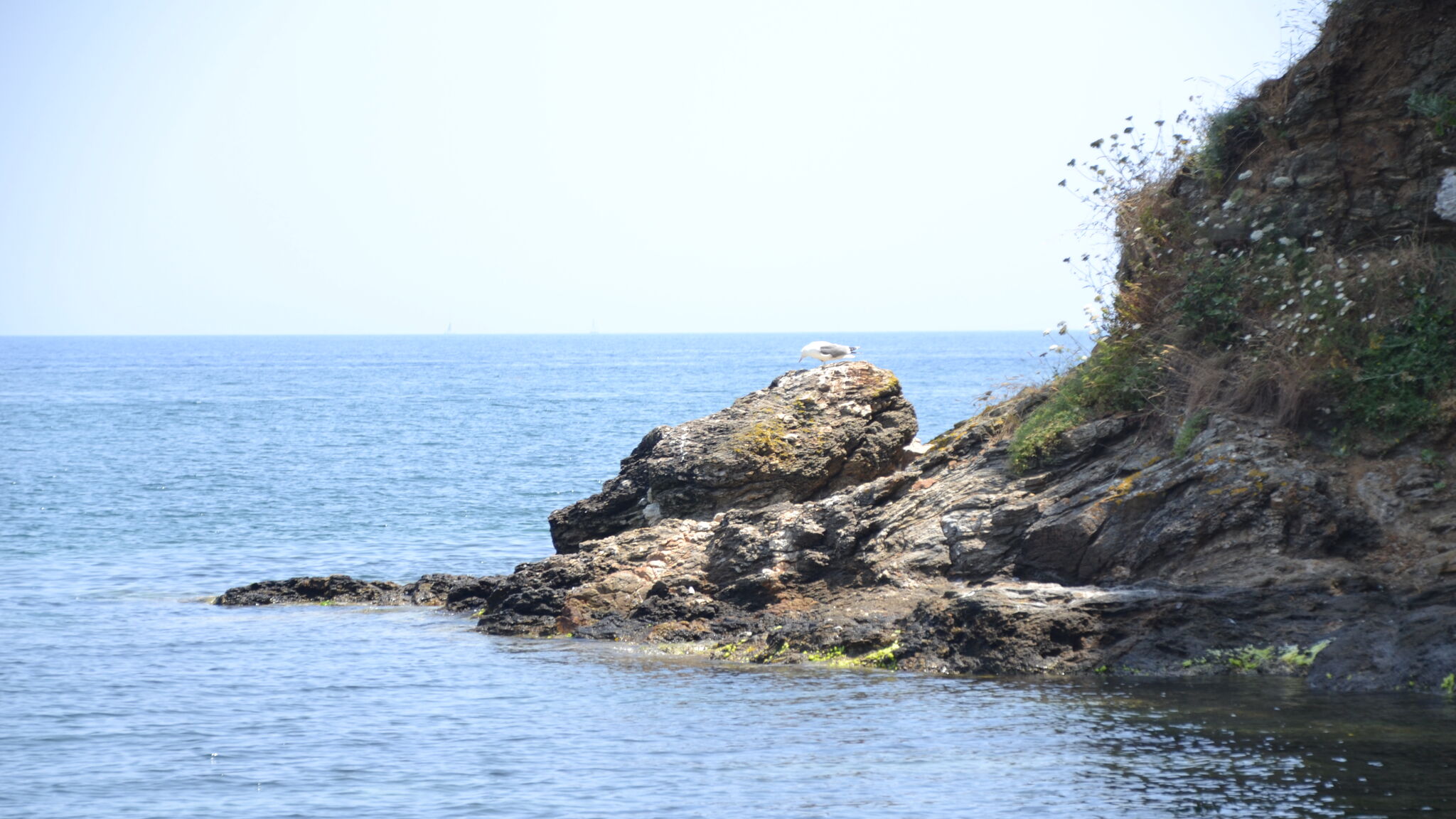 Italianway Capoliveri Casa William 