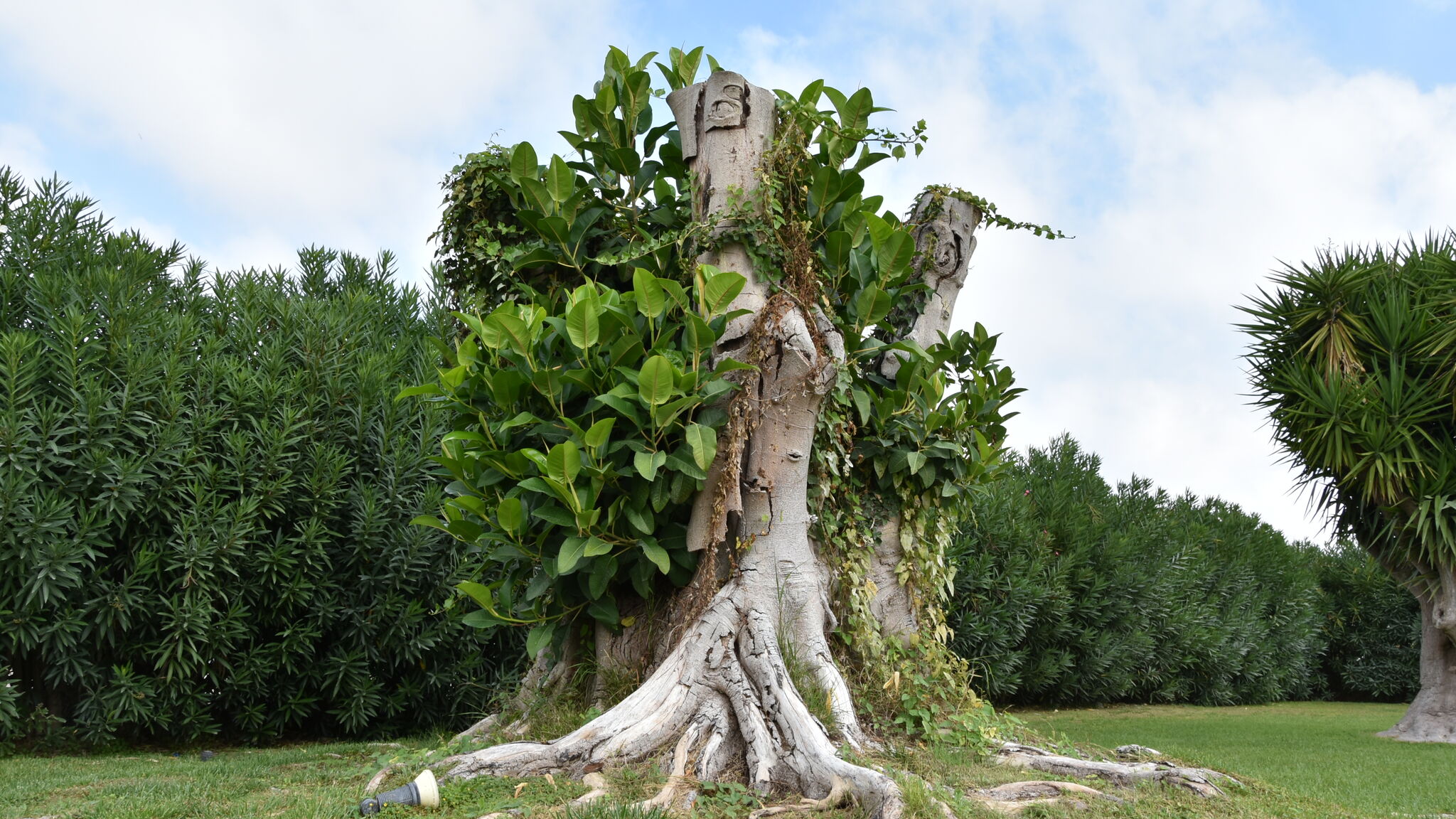 Italianway Monopoli VILLA CARRUBO PEROSCIA by STHEY