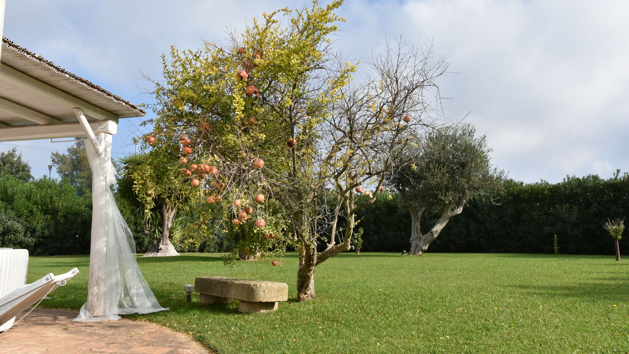 Italianway Monopoli VILLA CARRUBO PEROSCIA by STHEY