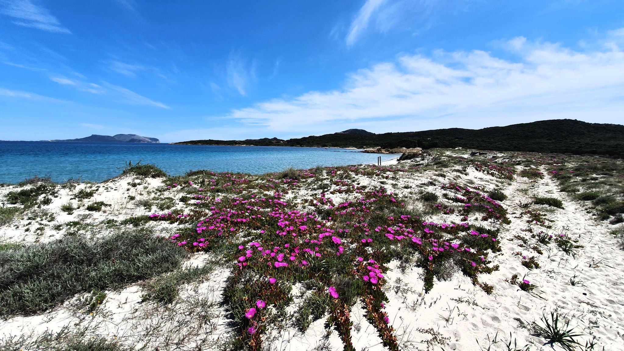 Italianway Olbia Top floor gulf view apartment 