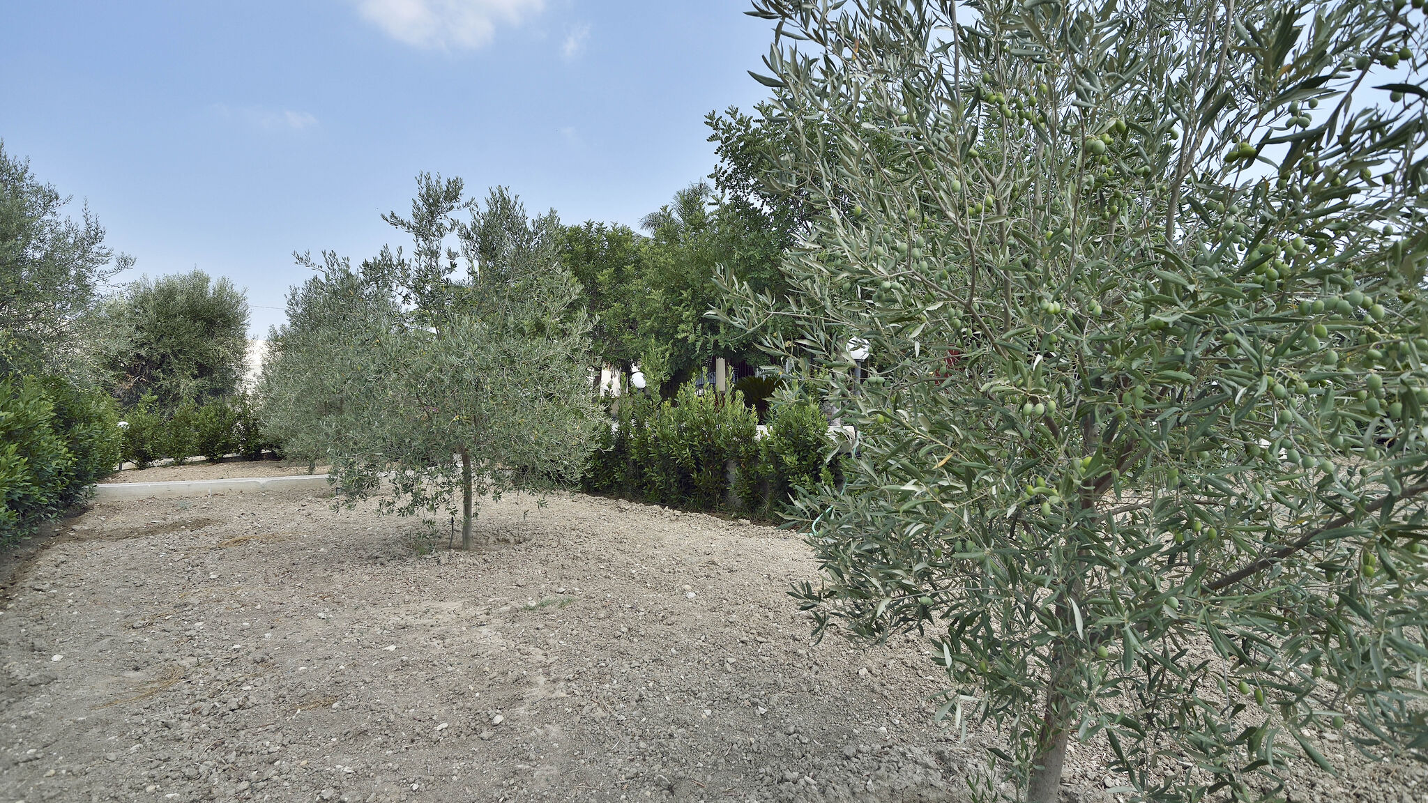 Italianway Ispica Villa del Colle con piscina privata 