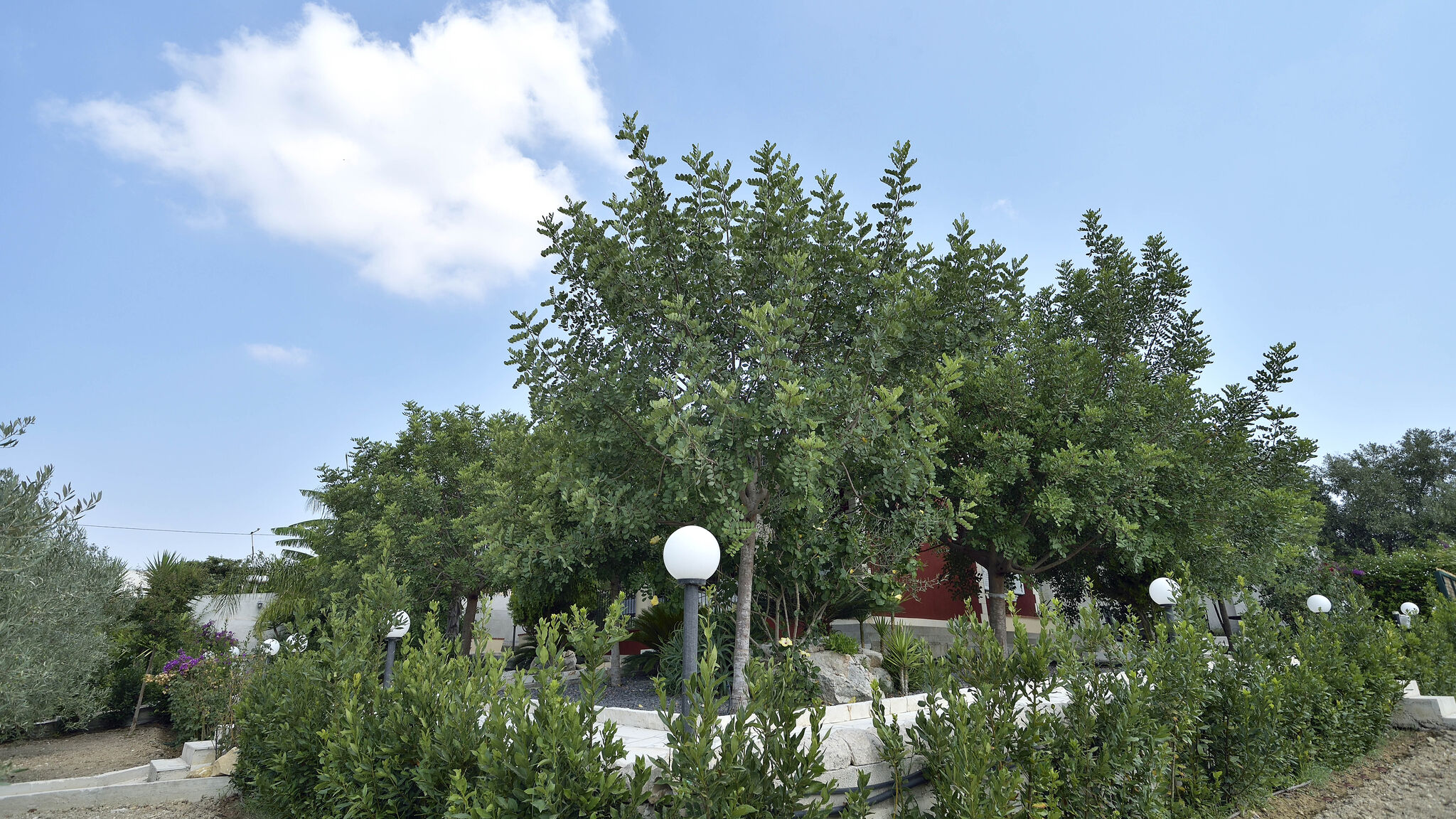 Italianway Ispica Villa del Colle con piscina privata 