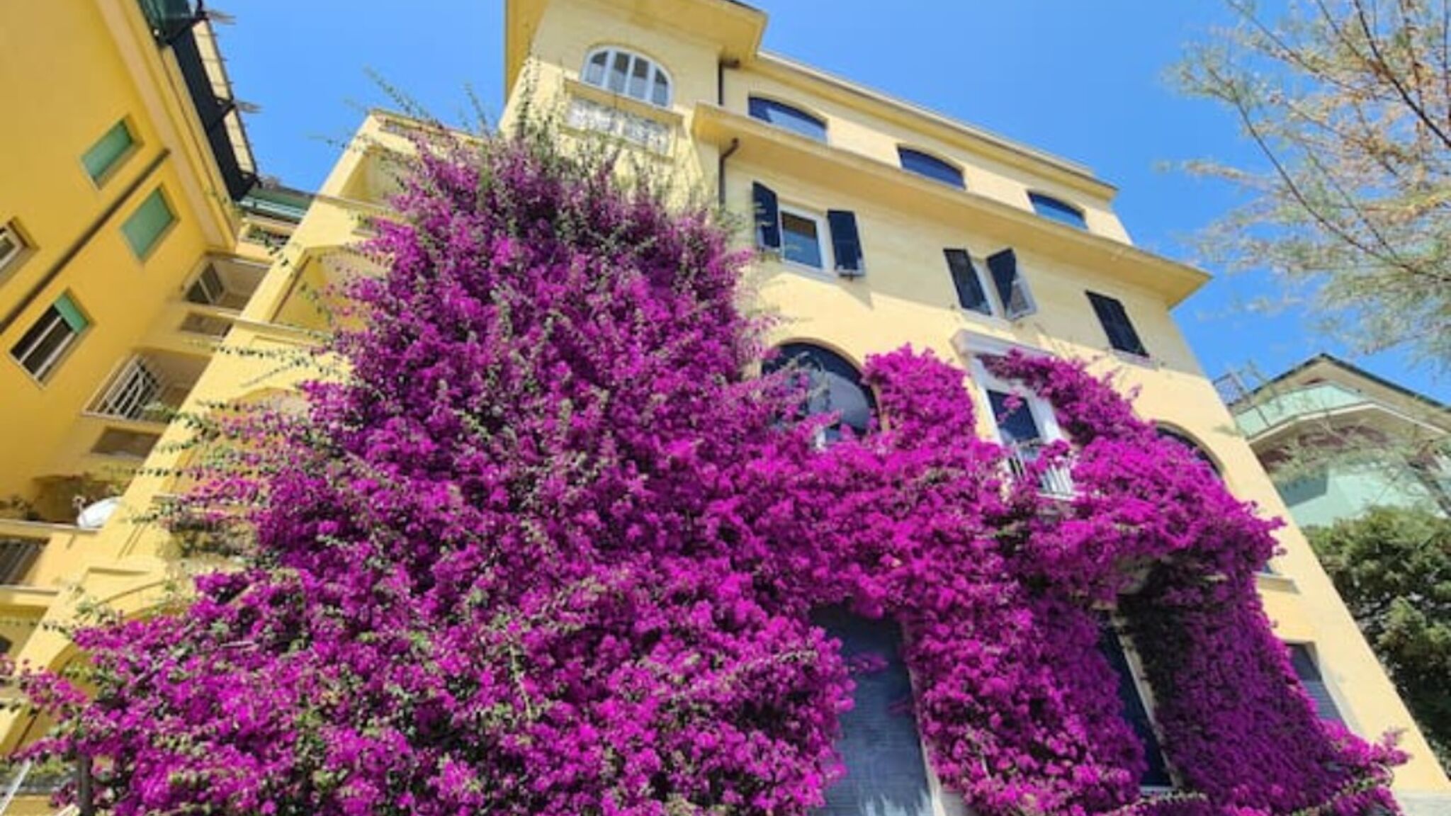 5Terrebnb Monterosso al Mare Bouganville House in the center - amazing sea view