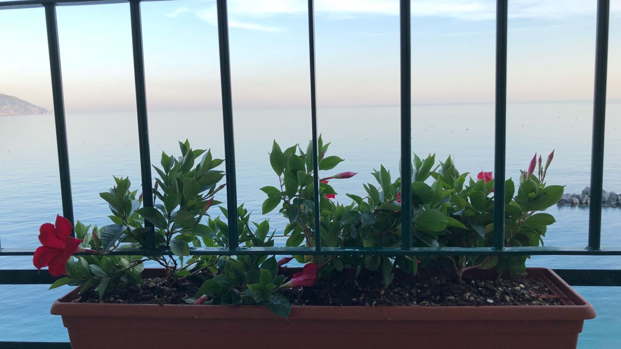 Italianway Monterosso al Mare  Bea's Apartment - the window to the sea with A/C