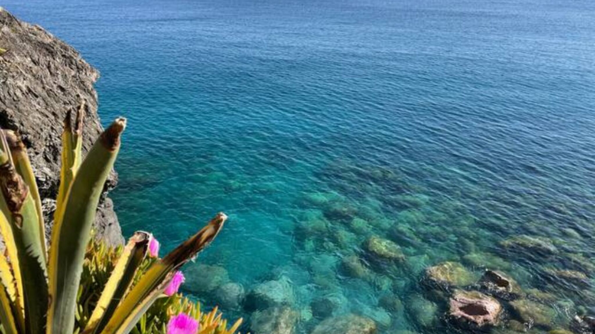 Italianway Monterosso al Mare Lo Sceriffo delightful villa in dreamy garden A/C