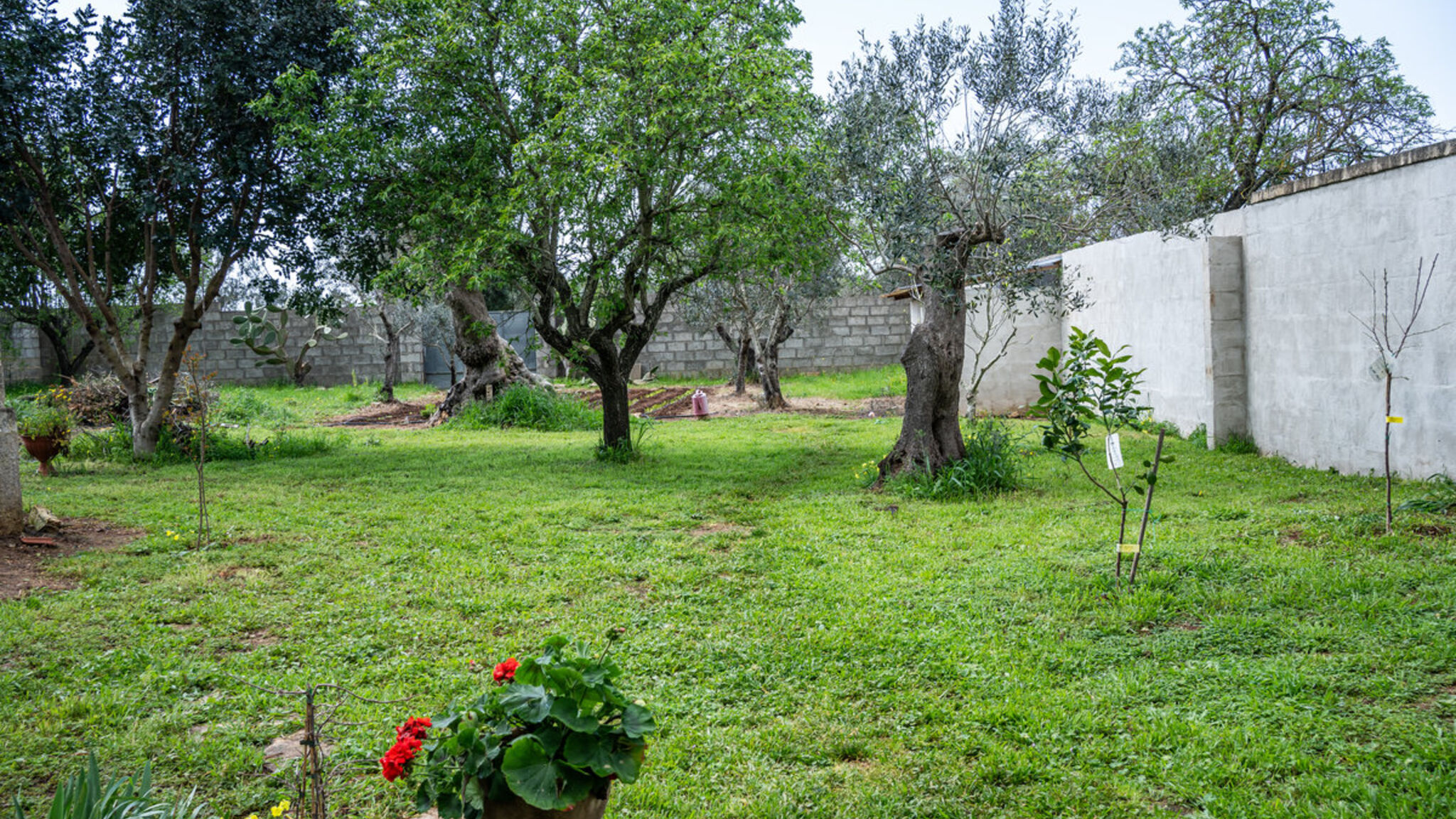 Italianway Gallipoli Monolocale Emy - Salento Reservation