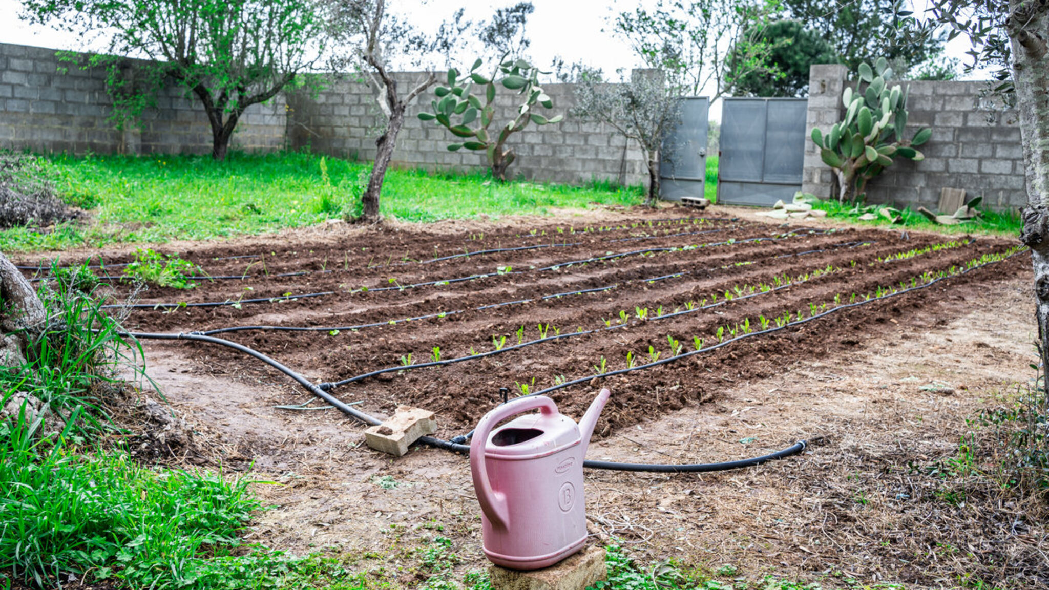 Italianway Gallipoli Monolocale Emy - Salento Reservation