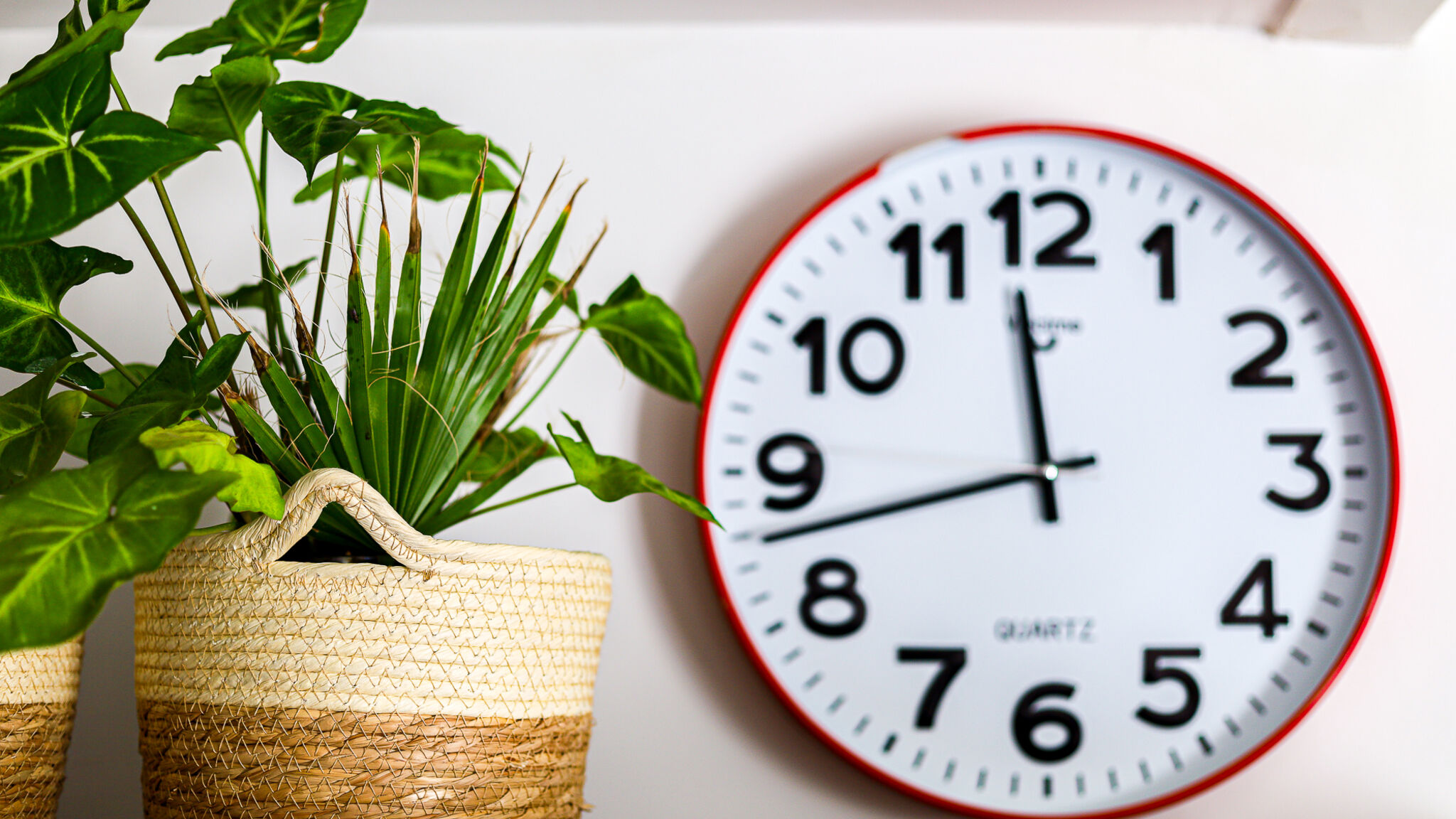 Italianway Parabita Terrazza Janca by Casa di Marco