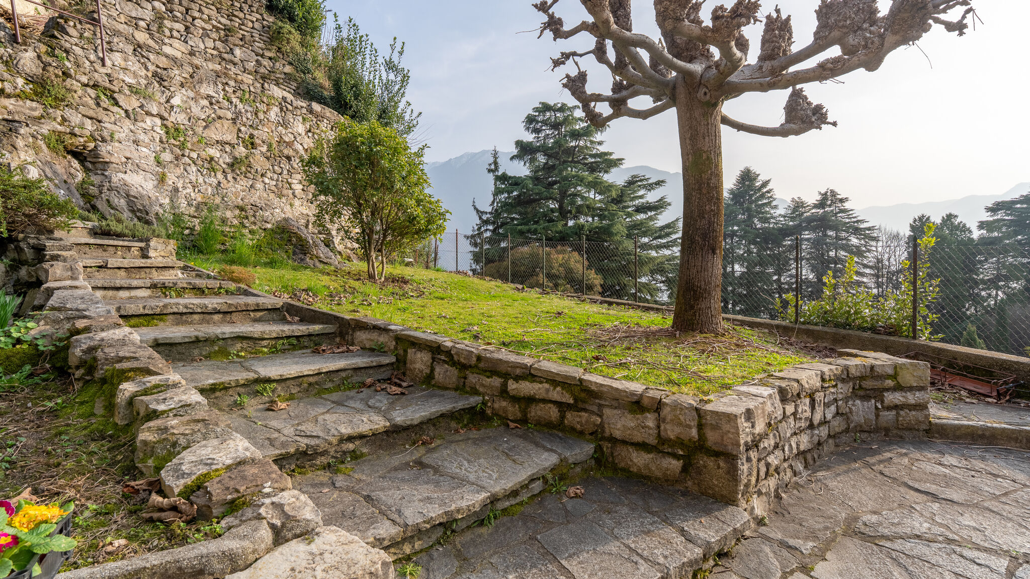 Italianway Tremezzina Fedis Home - Along the Scenic Como Greenway