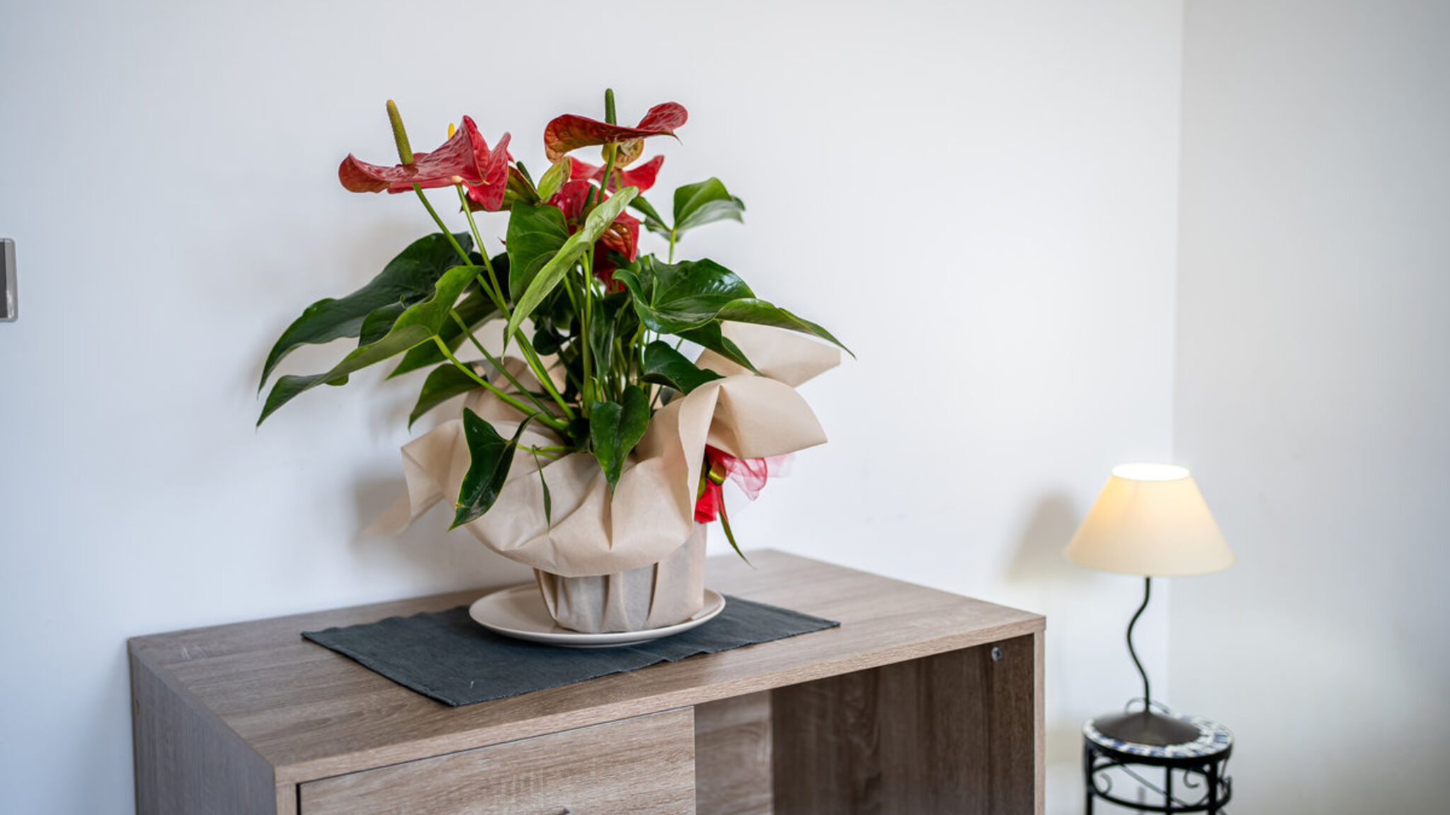 Italianway Racale Quadrilocale Angela N°1 - Salento Reservation