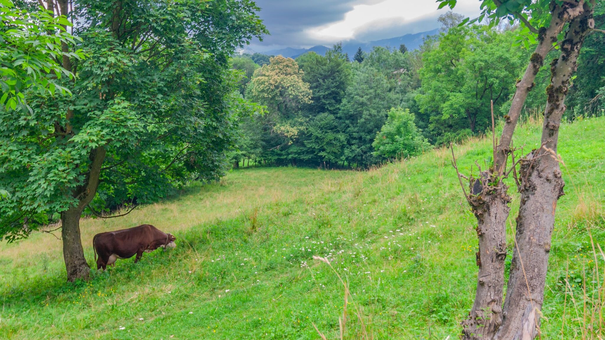 Italianway Bellagio Bellagio Charming Countryside Apartment