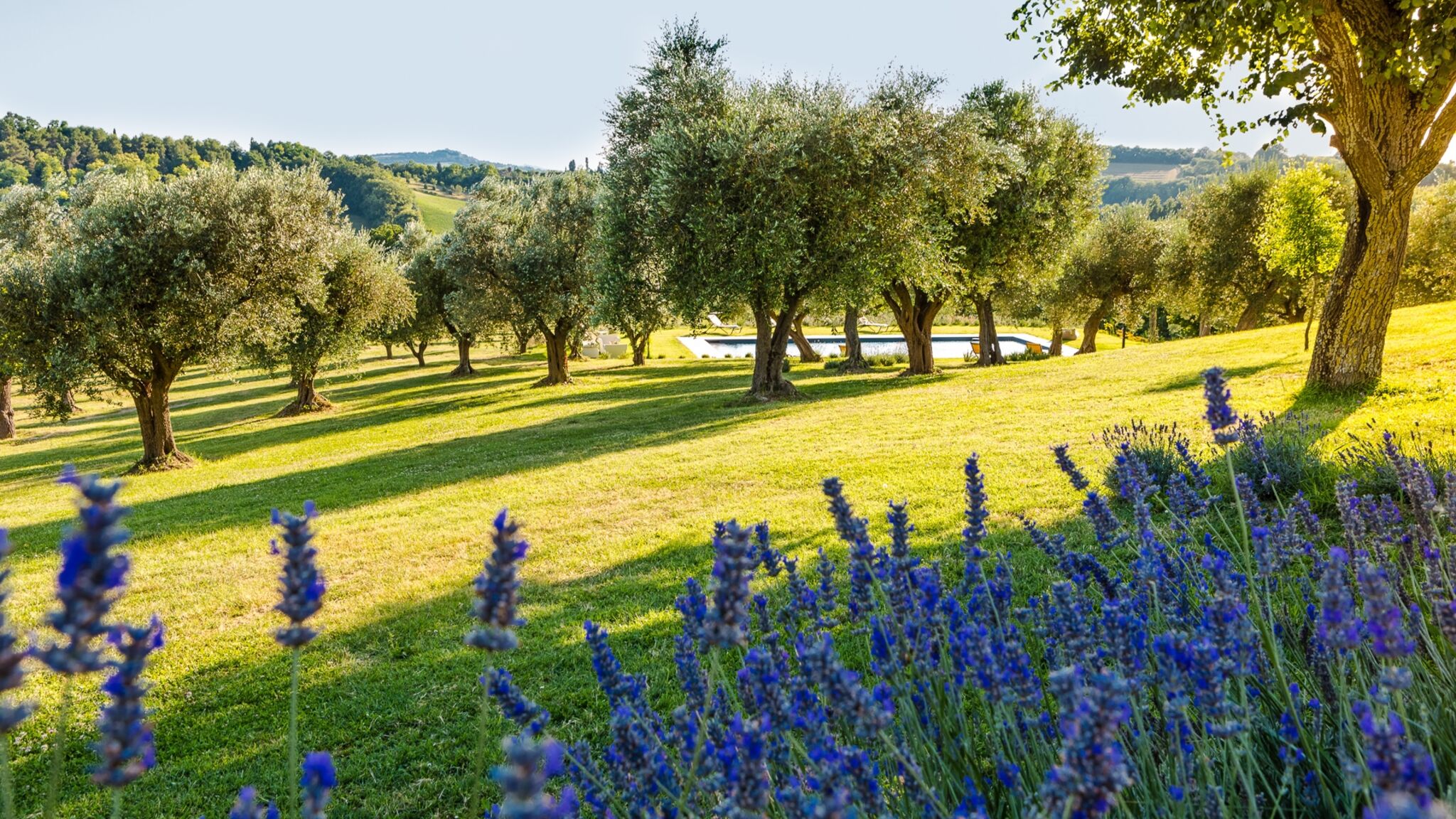 Italianway Pesaro Casa Eugenia 8