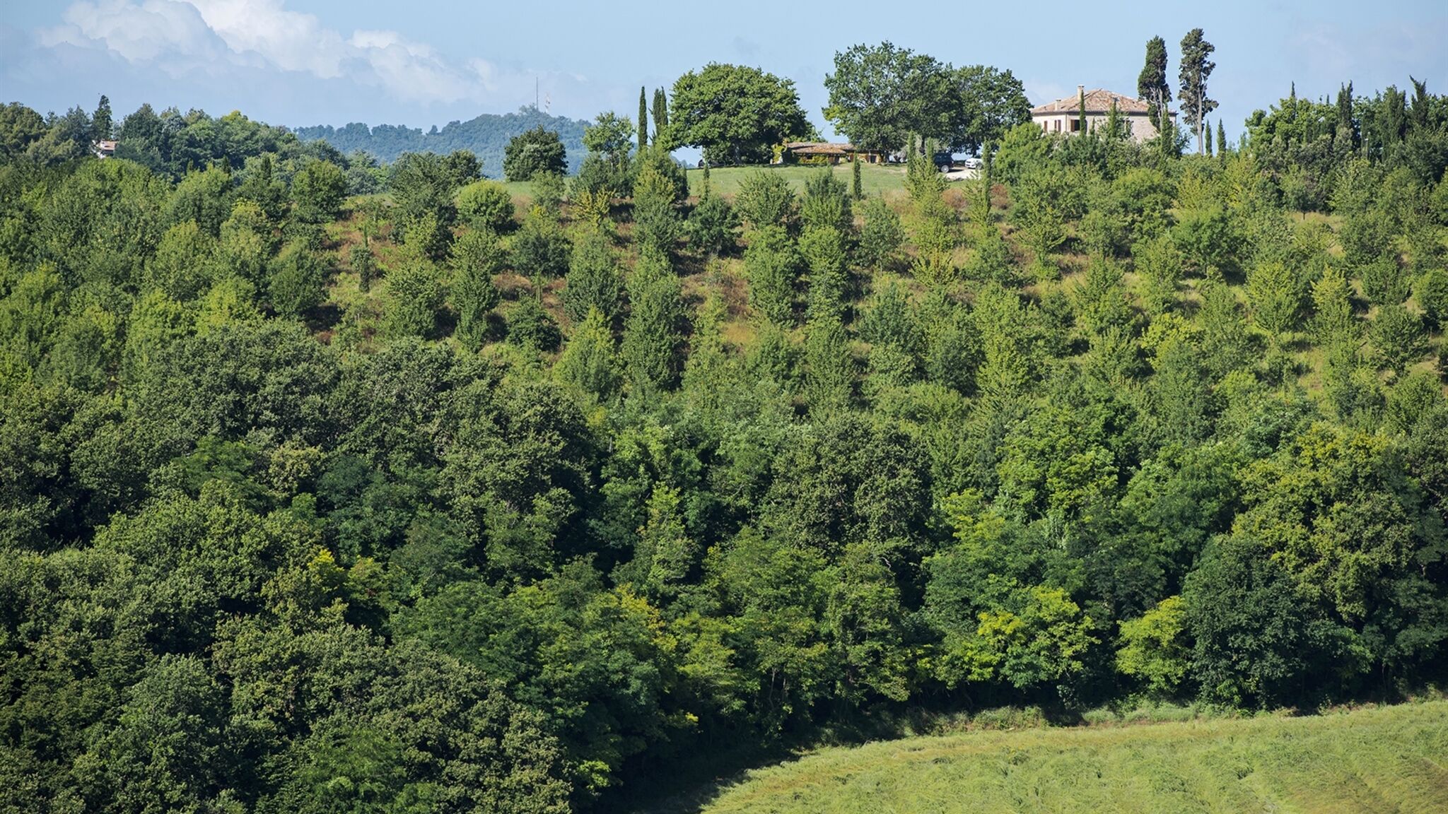 Italianway Pesaro Casa Eugenia 8