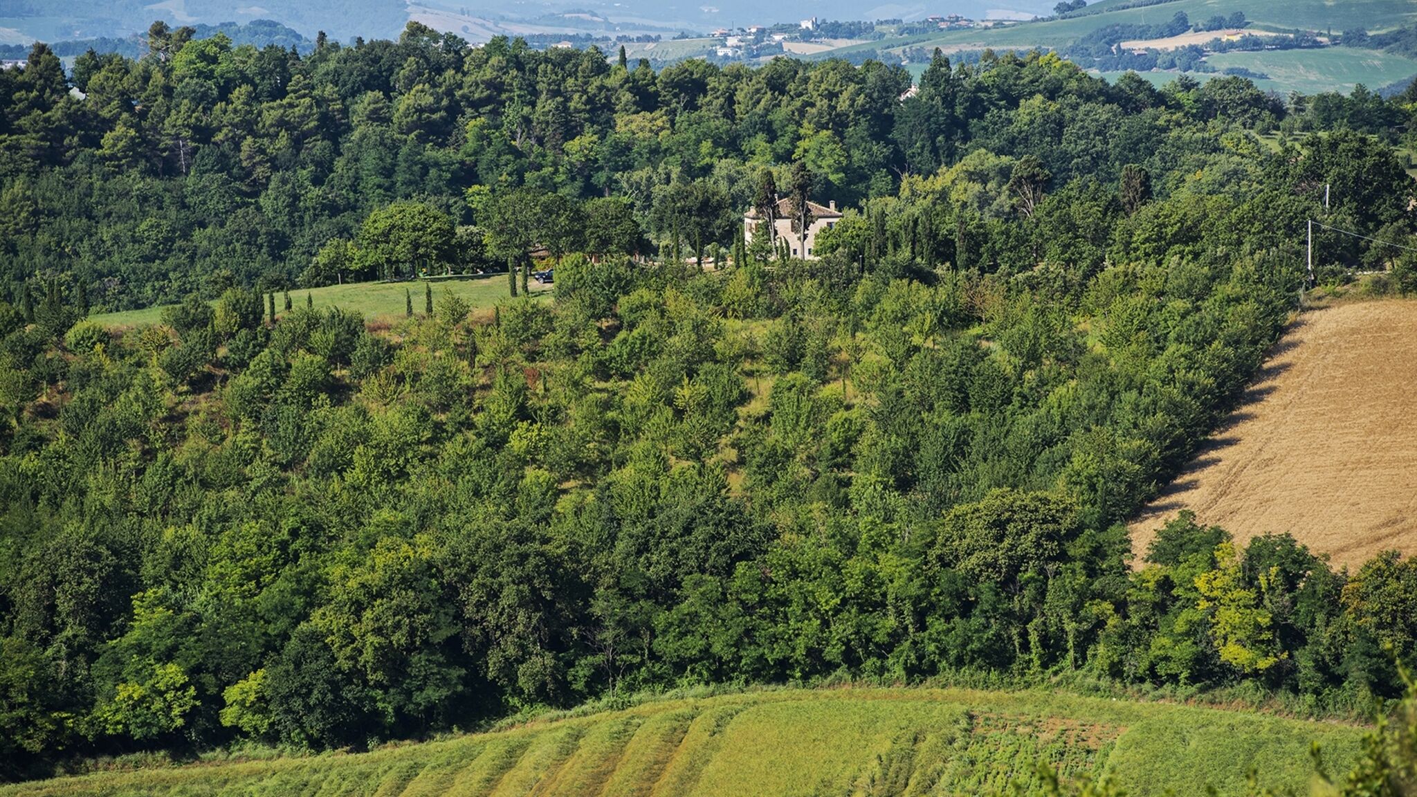 Italianway Pesaro Casa Eugenia 8
