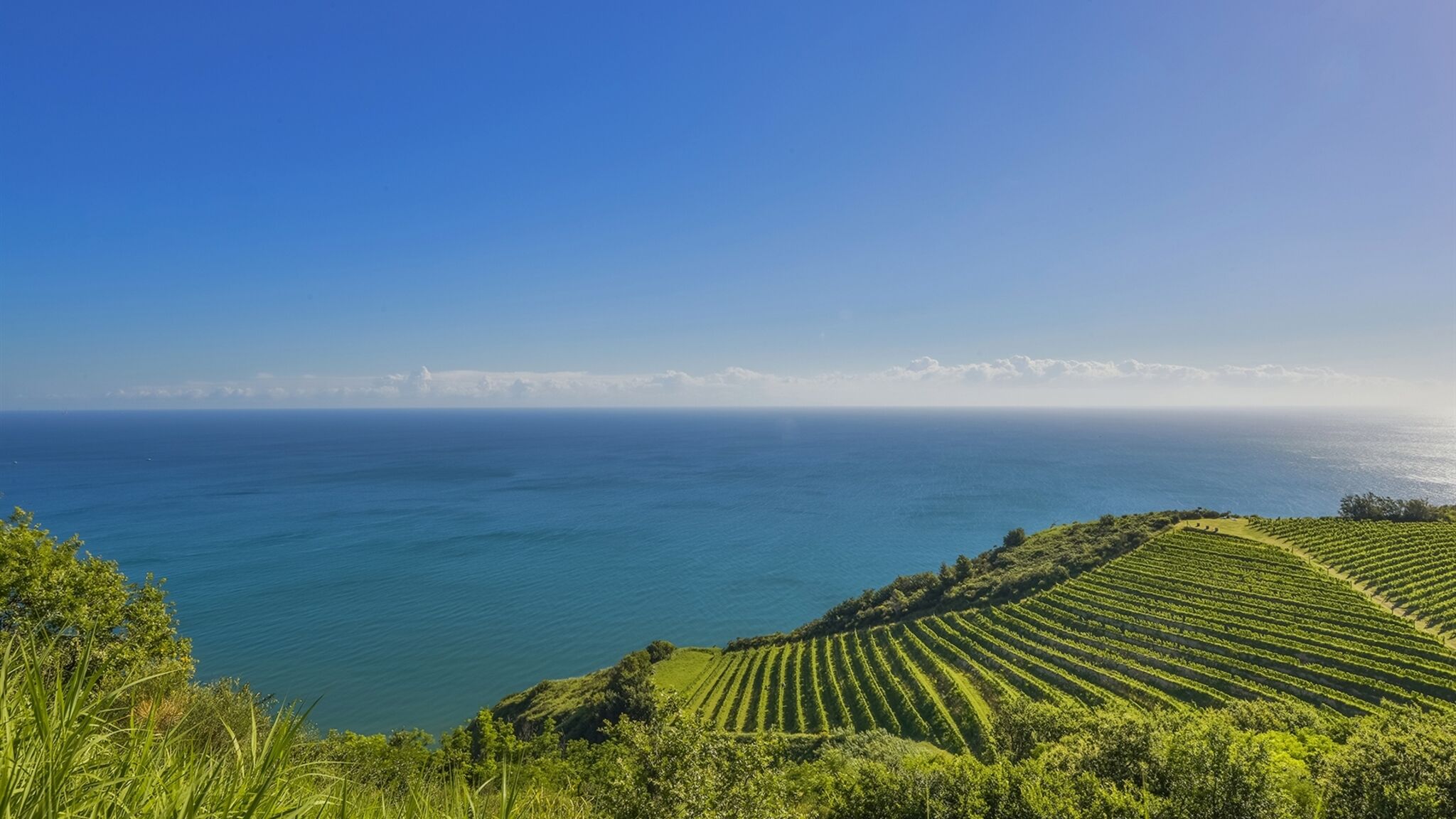 Italianway Pesaro Casa Eugenia 8