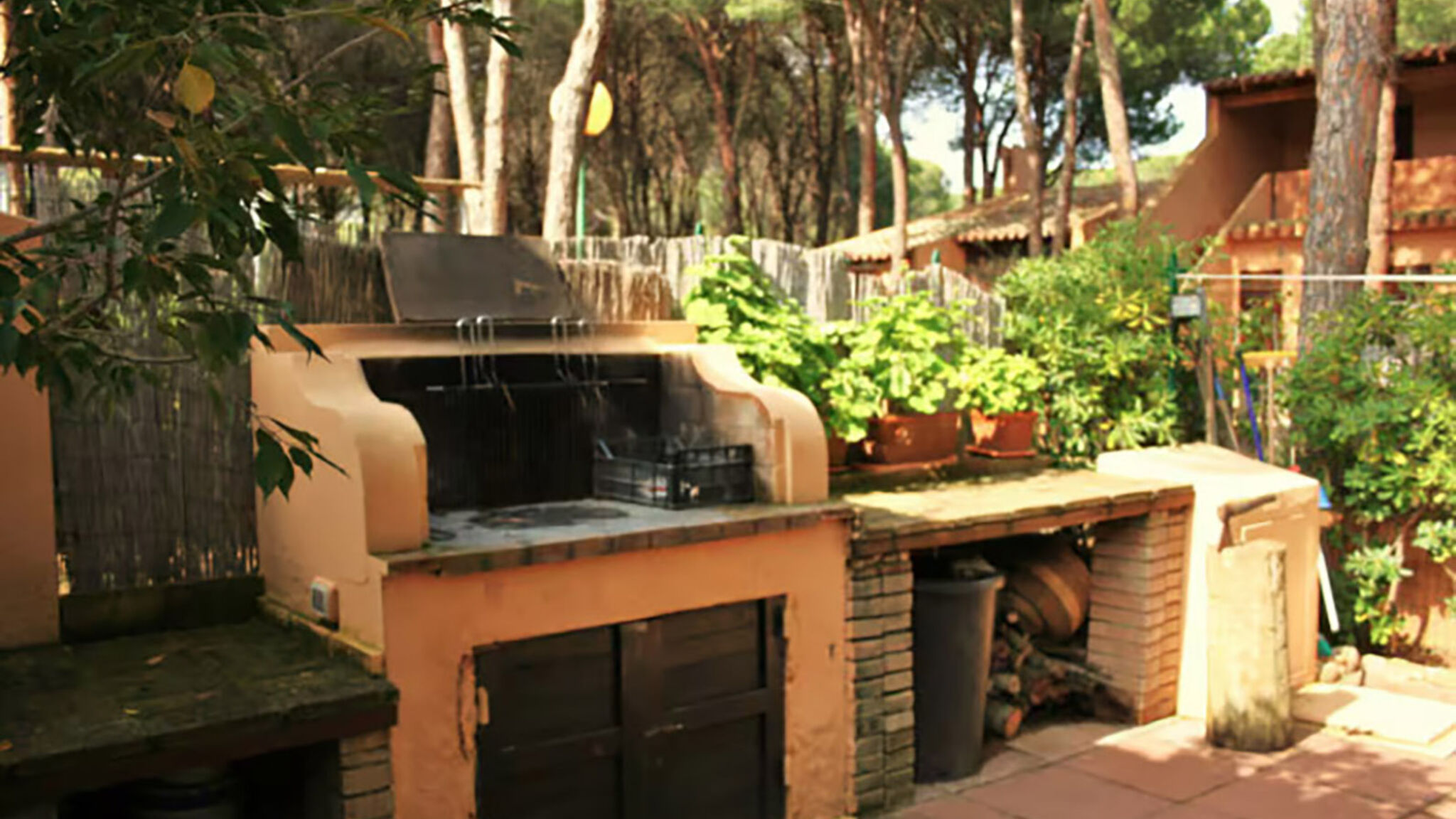 Italianway Pula Zeus 33 - Morada