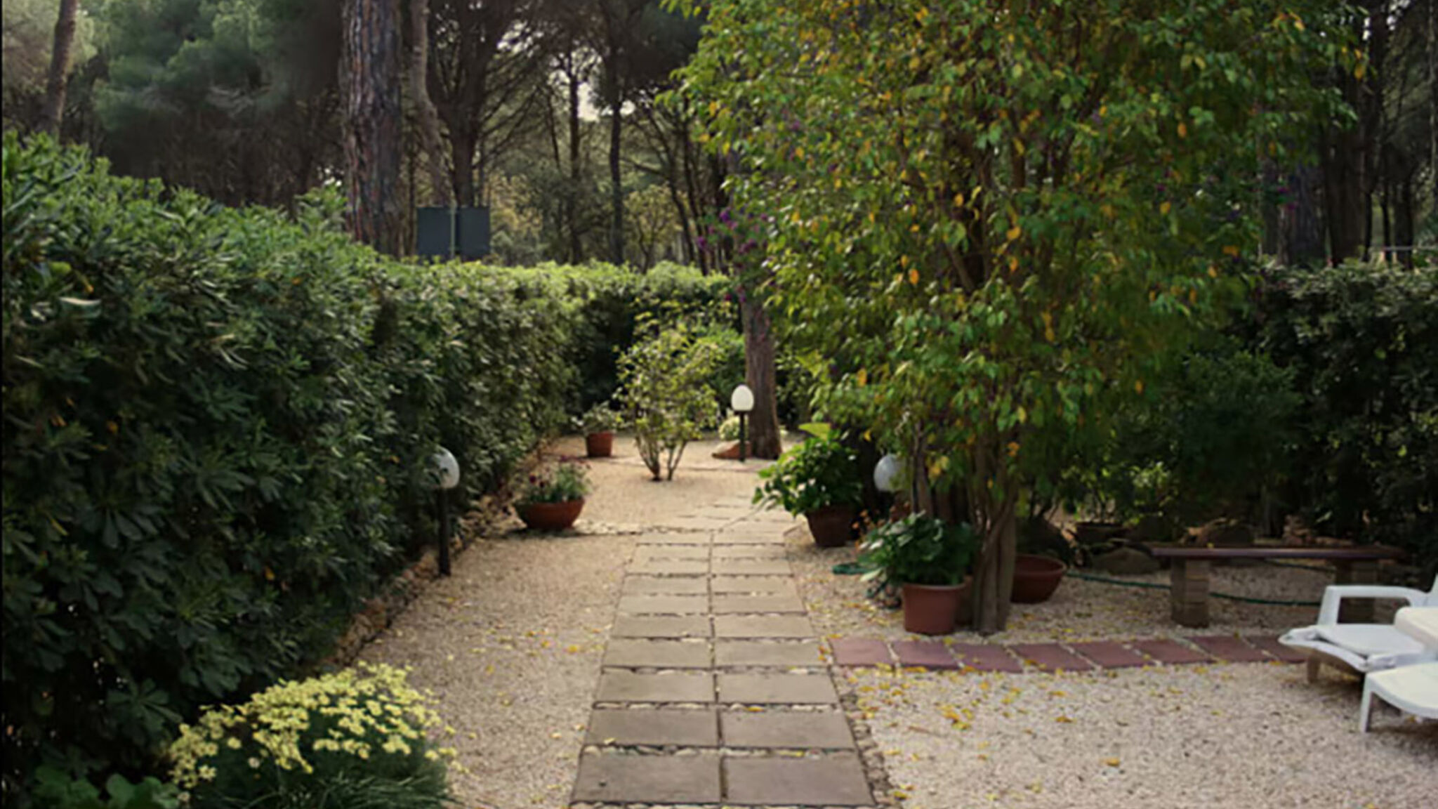 Italianway Pula Zeus 33 - Morada