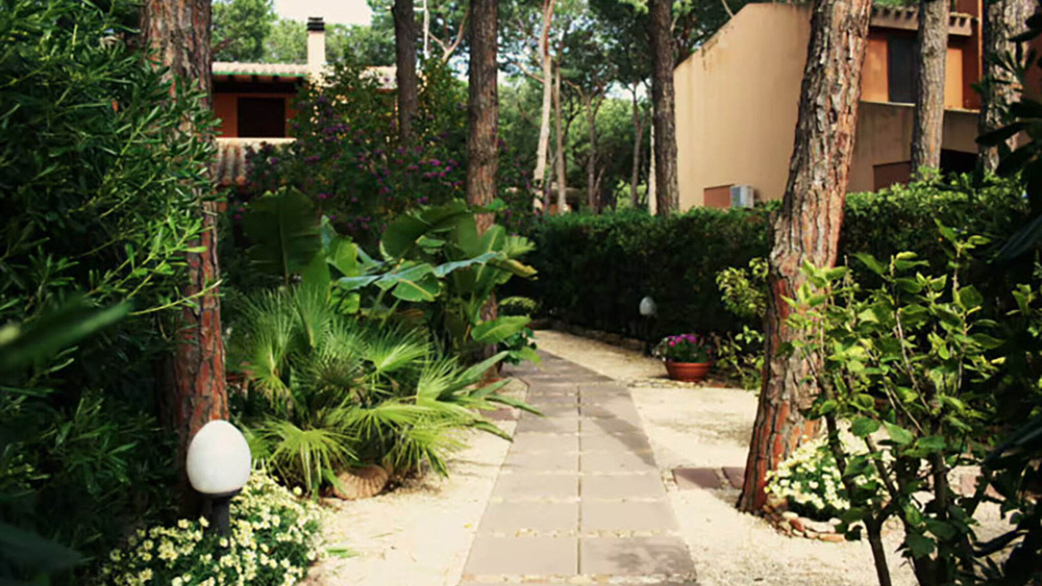 Italianway Pula Zeus 33 - Morada