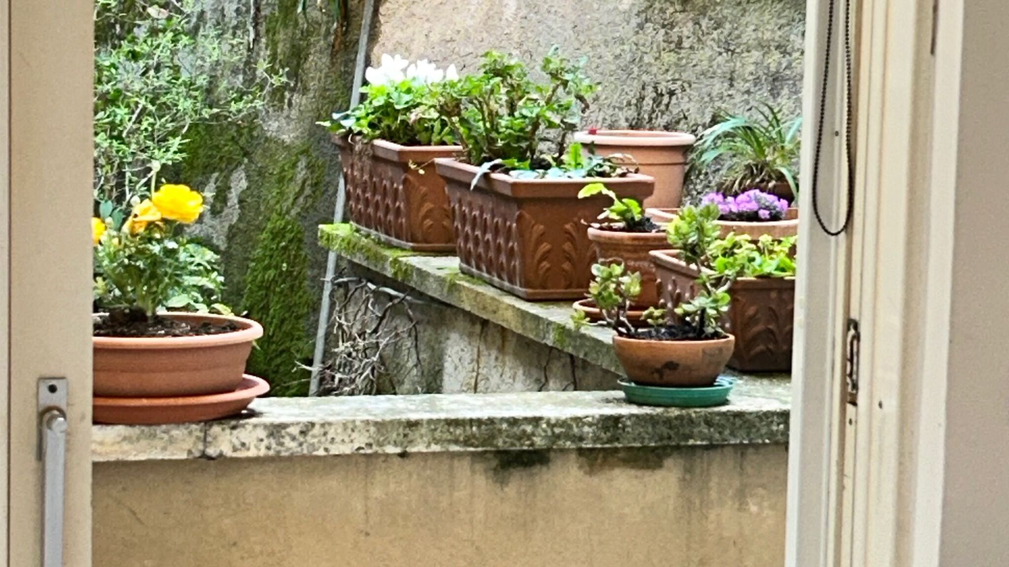 Italianway Arenzano Casa Il Porticciolo