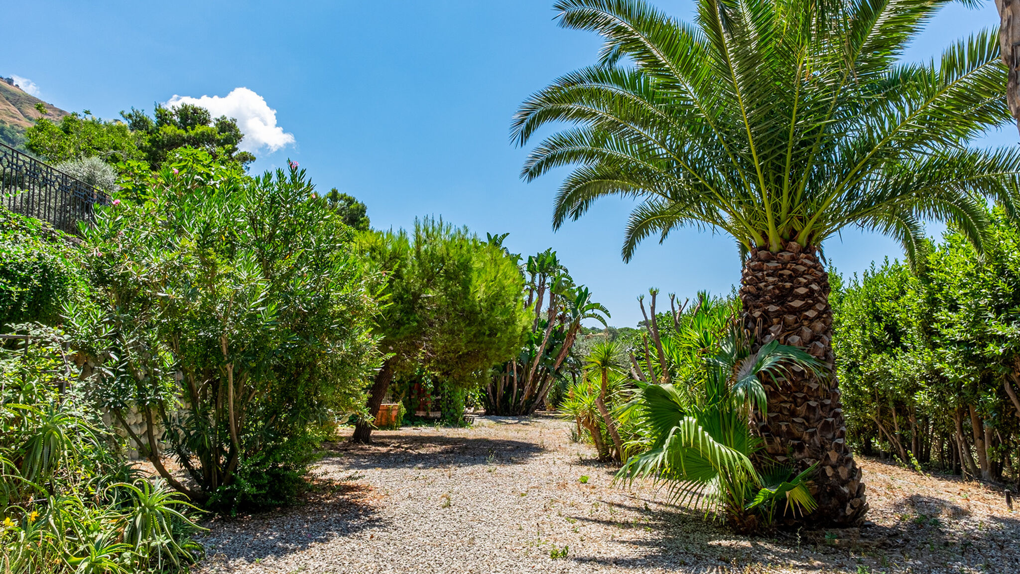 Italianway Forio Villa Le Palme