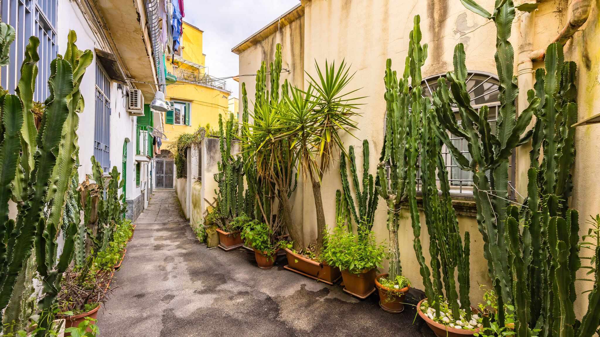 Italianway Napoli Romantic apartment with view 