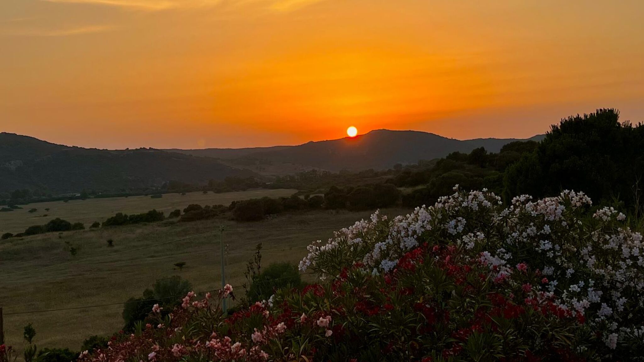 Italianway Teulada Gli oleandri di Giovanni by Teuladaapartments