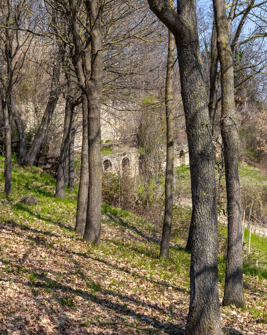 Italianway Cessole Vineyard Fit - Spa Retreat. Jacuzzi Sauna Langhe