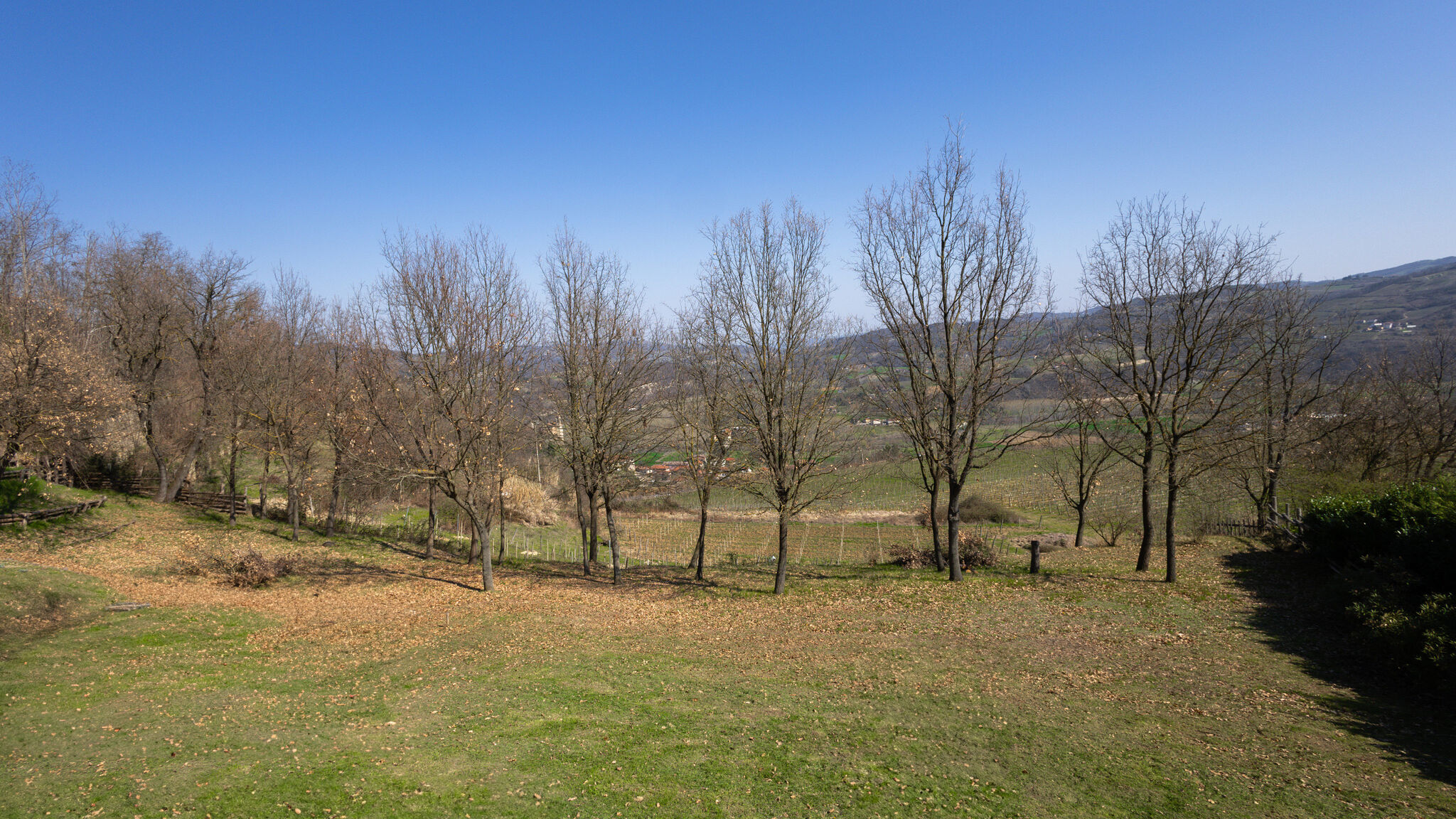 Italianway Cessole Vineyard Fit - Spa Retreat. Jacuzzi Sauna Langhe